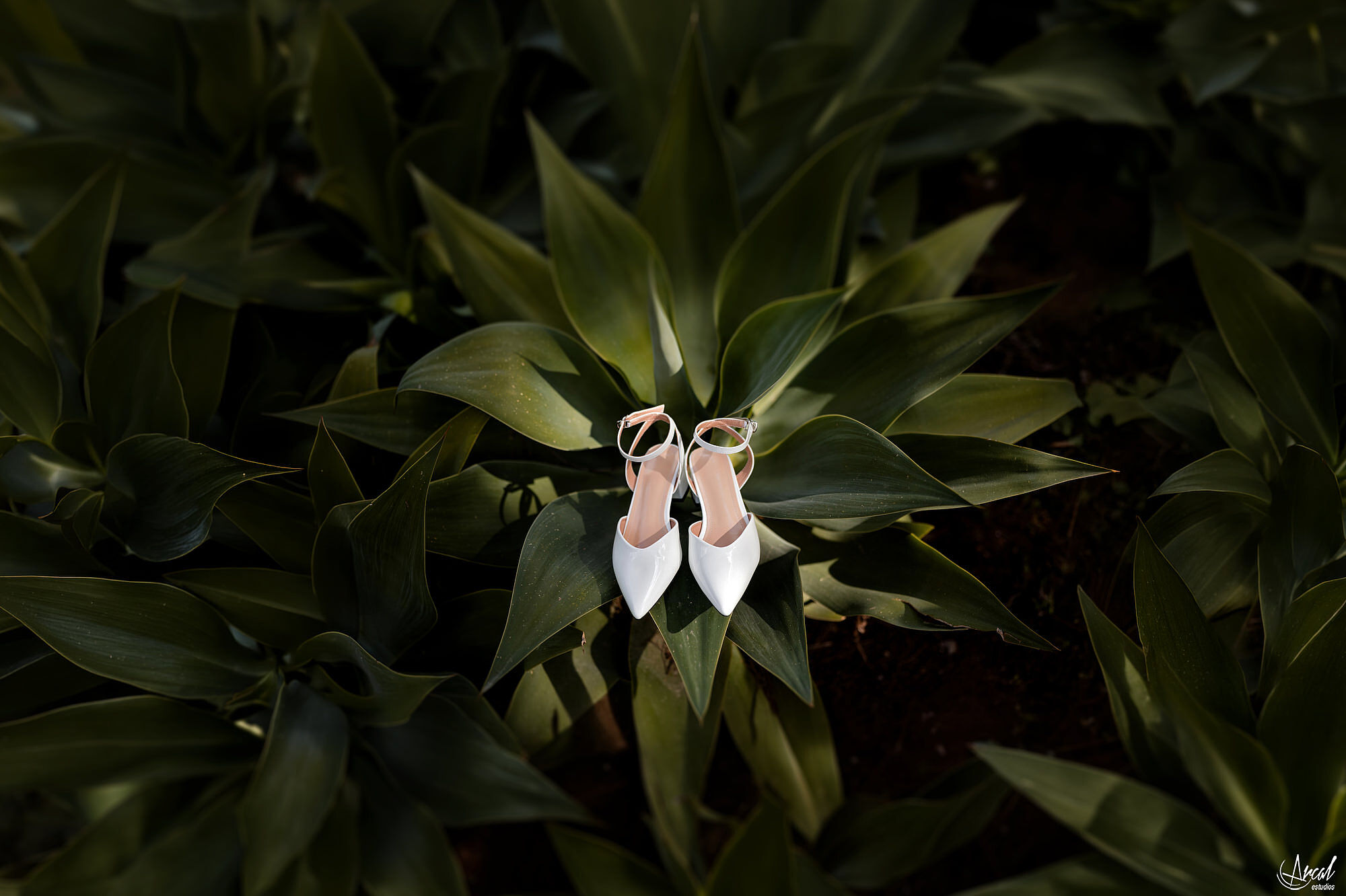022__reportaje-boda-malaga