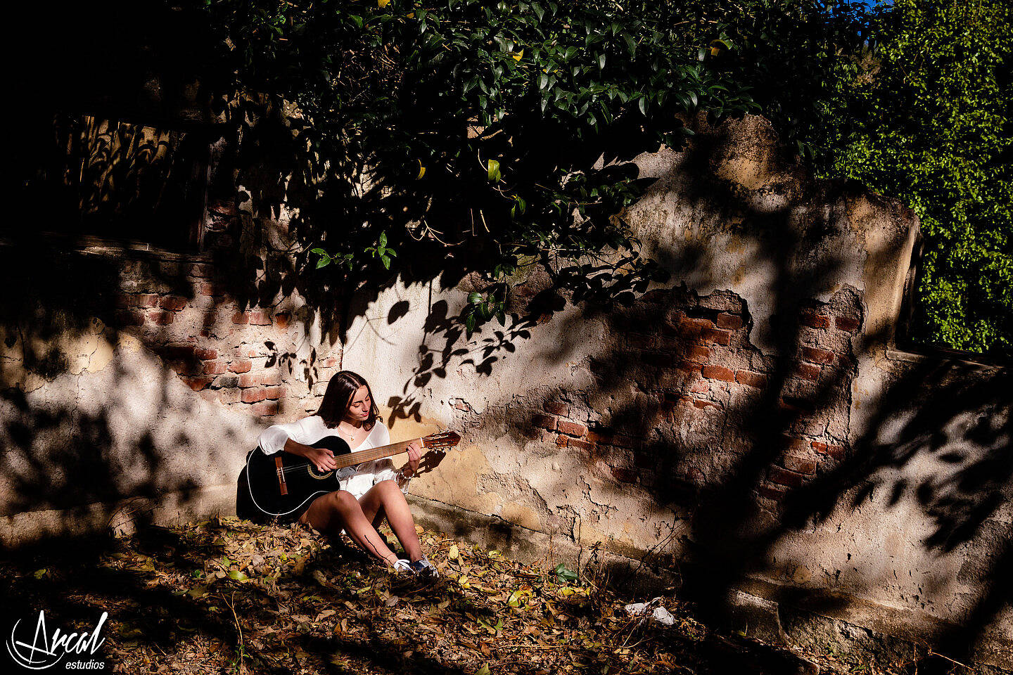 050-www-arcalestudios-com-19922