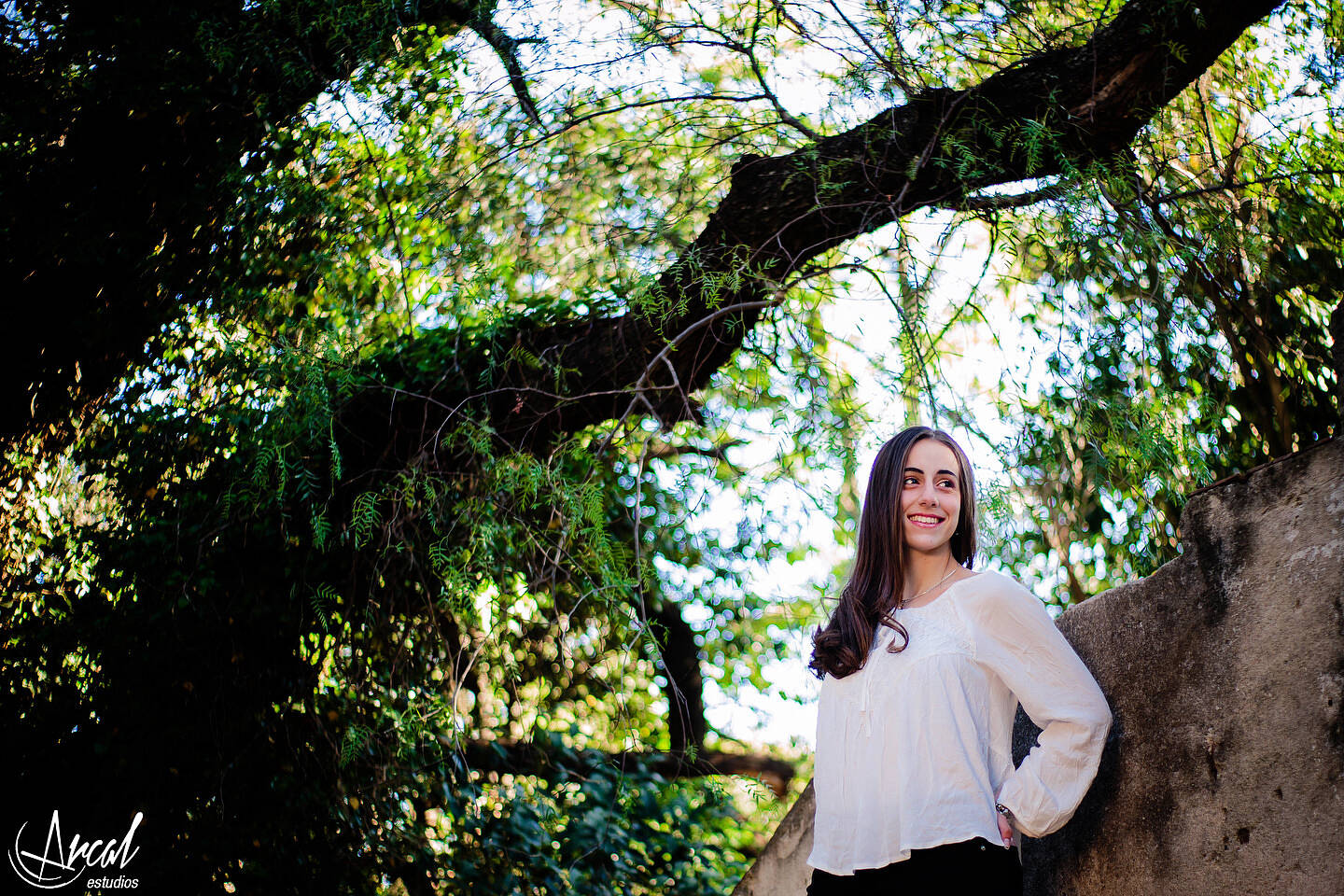 076-www-arcalestudios-com-19922