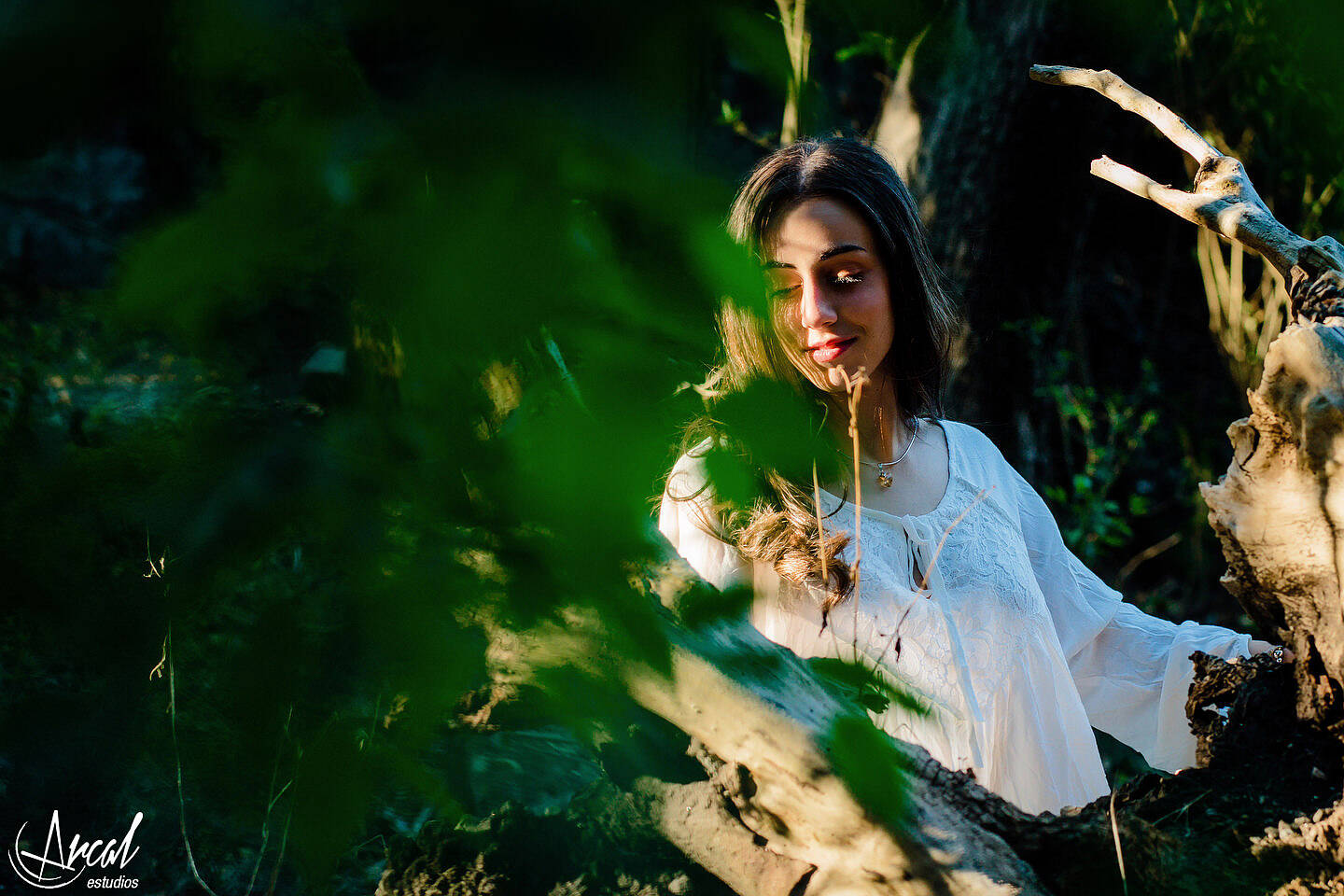 080-www-arcalestudios-com-19922