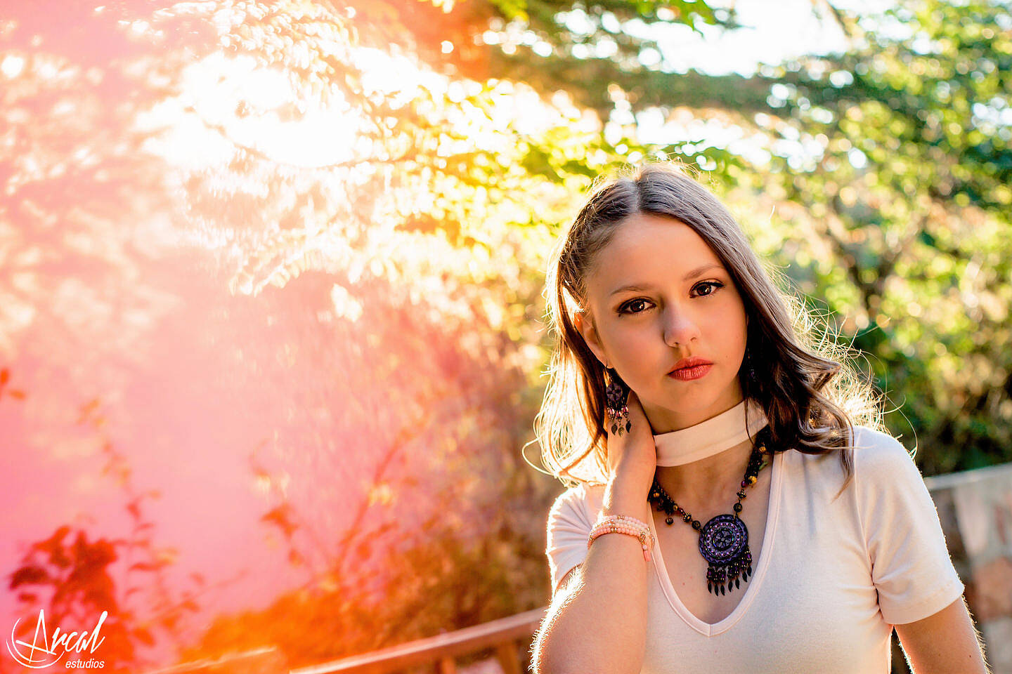 096-www-arcalestudios-com-20047