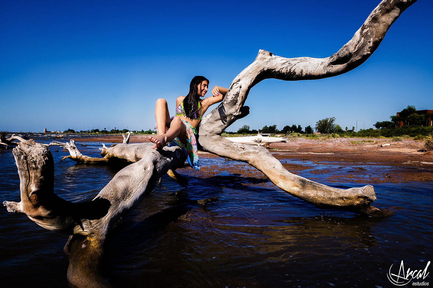 19-www-arcalestudios-com-23283