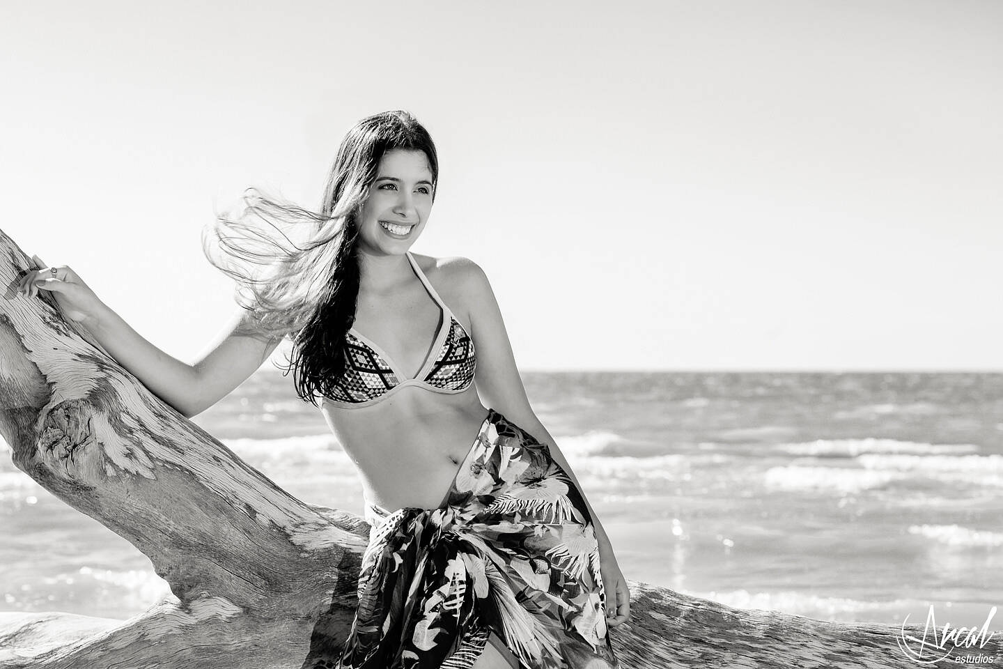 20-www-arcalestudios-com-23283