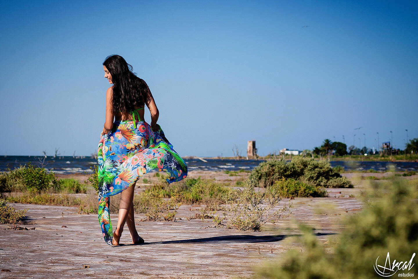 24-www-arcalestudios-com-23283