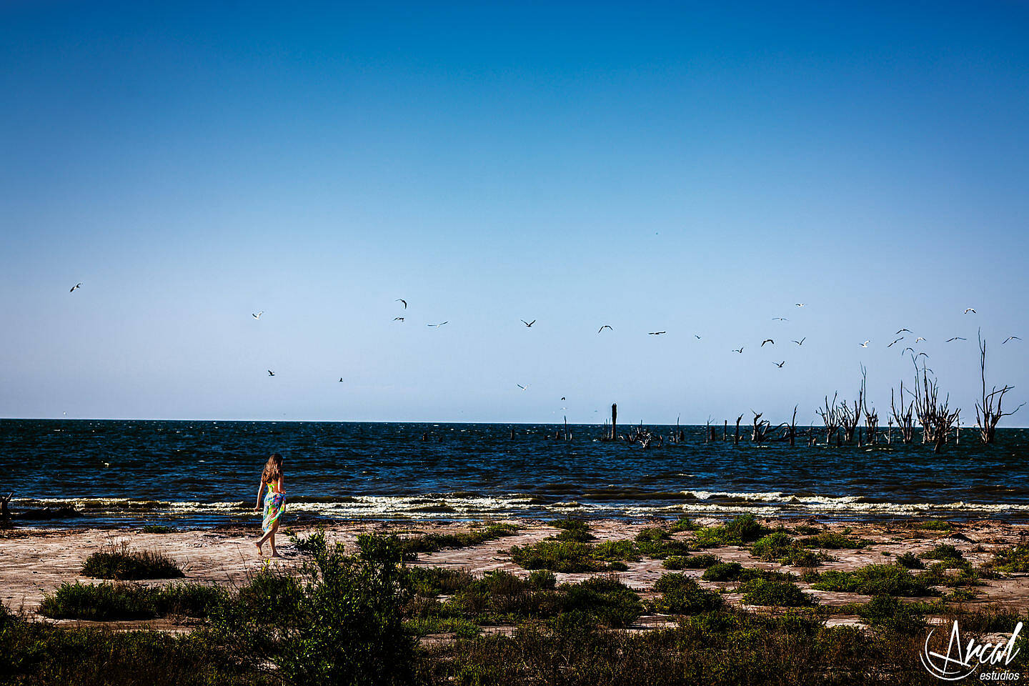 28-www-arcalestudios-com-23283