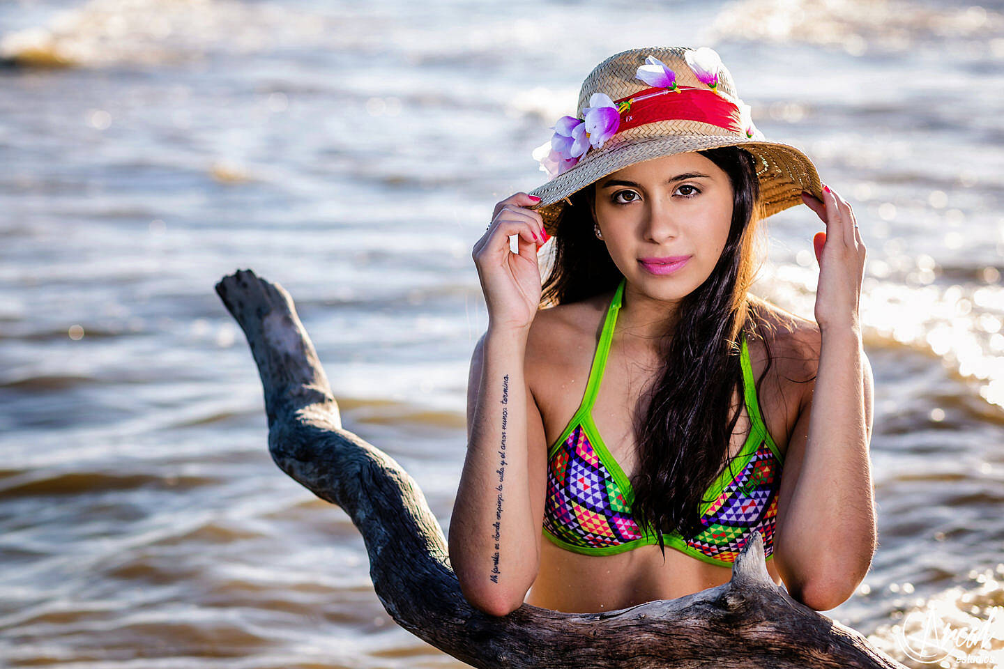 44-www-arcalestudios-com-23283