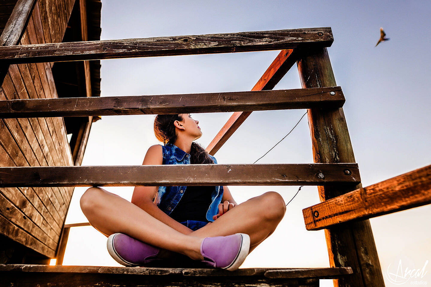 57-www-arcalestudios-com-23283