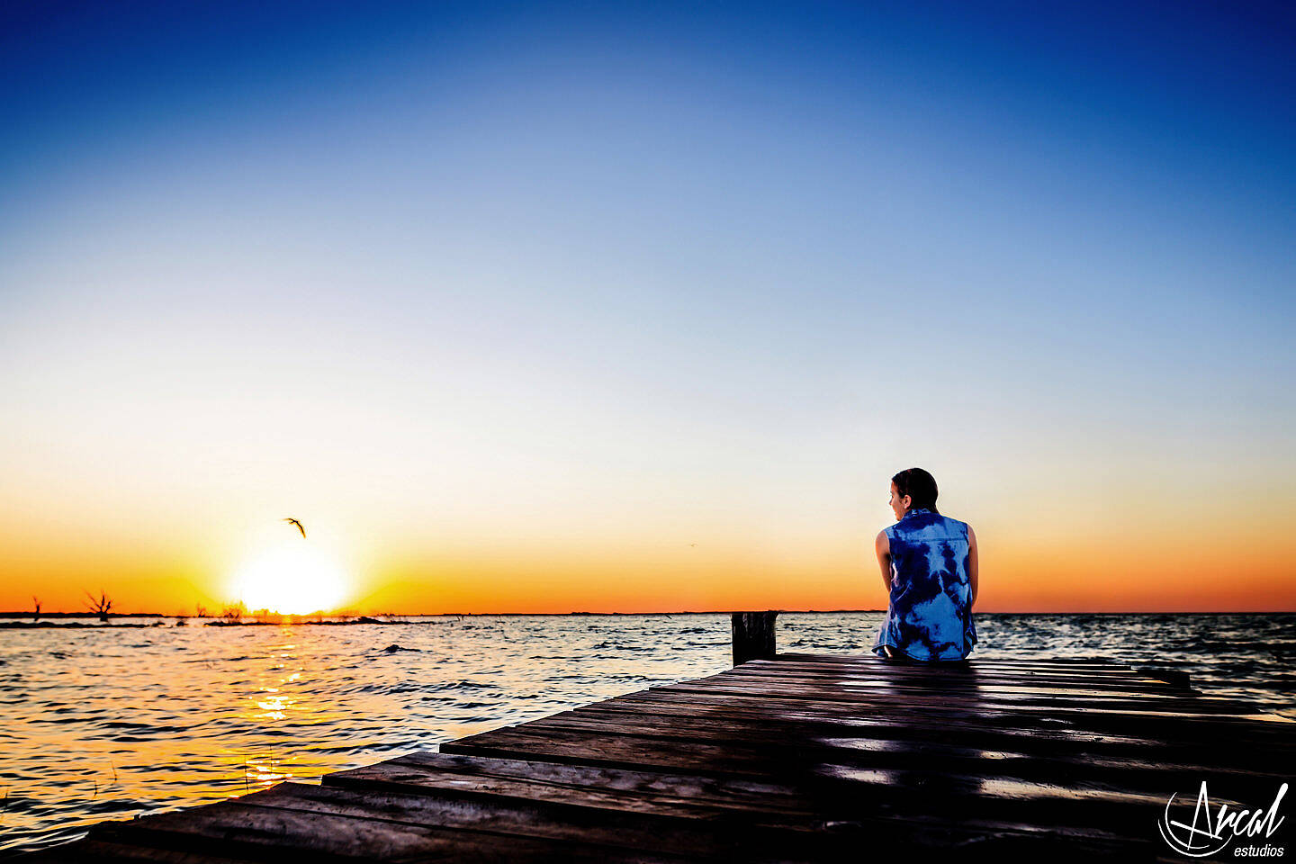 58-www-arcalestudios-com-23283