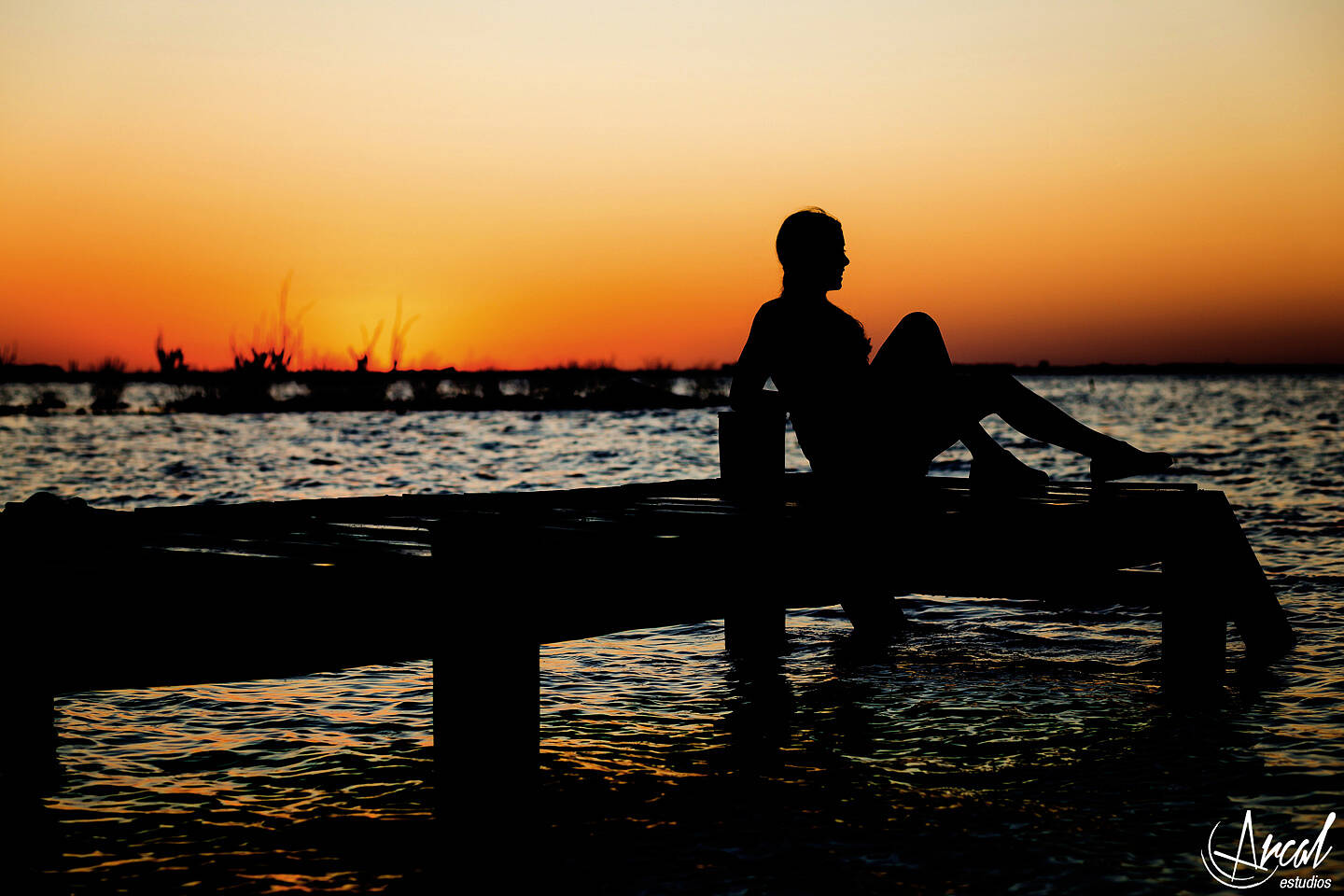 62-www-arcalestudios-com-23283