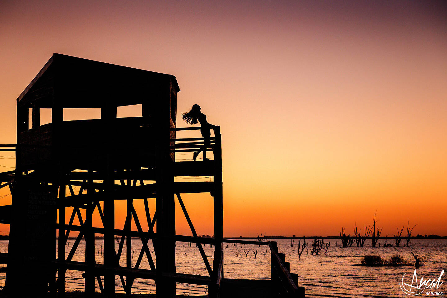 73-www-arcalestudios-com-23283