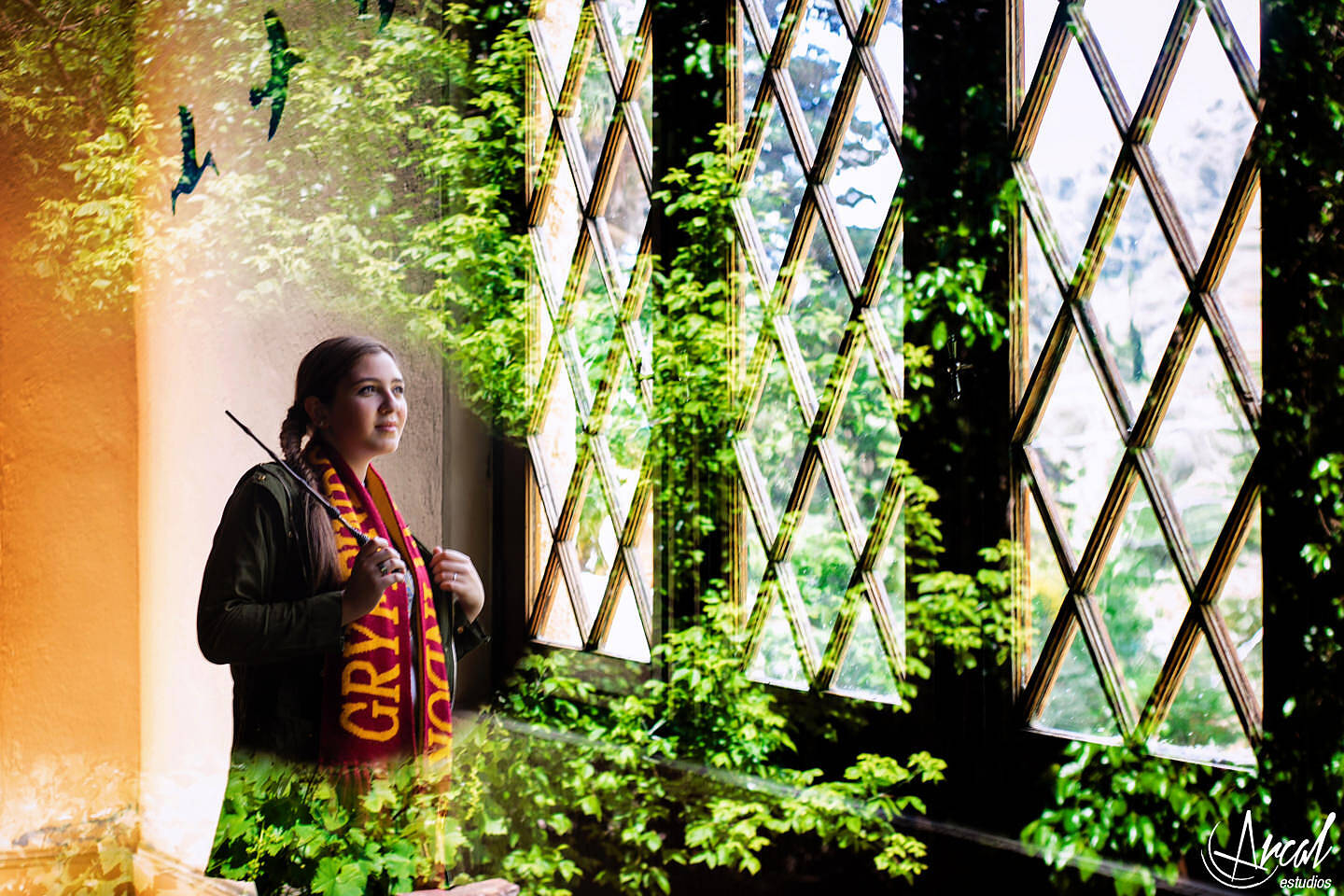 026-www-arcalestudios-com-21486