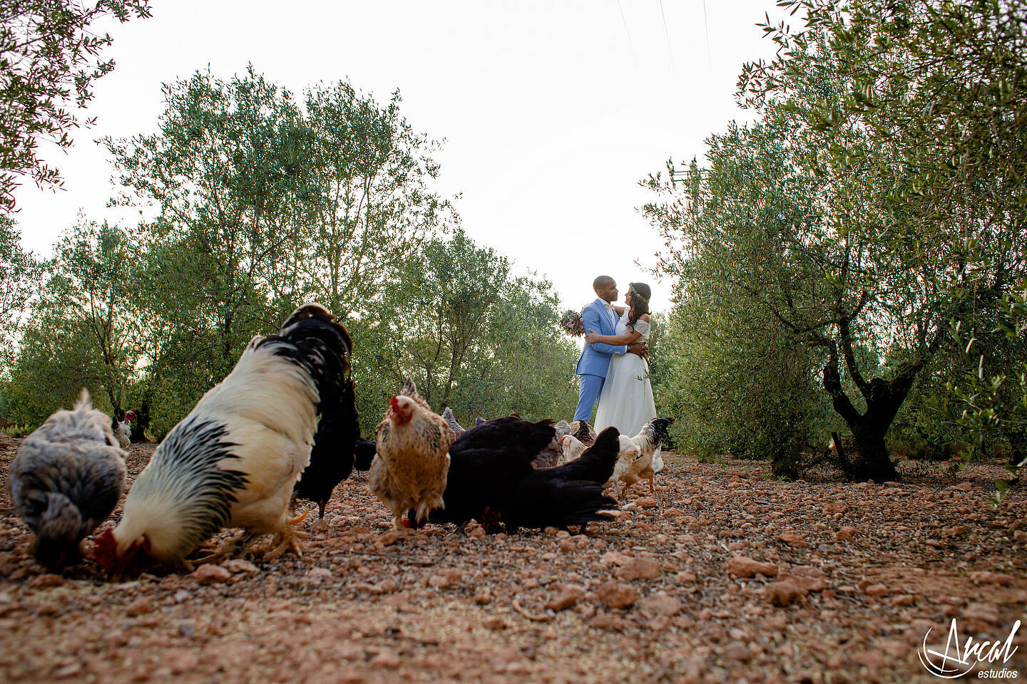 434-lisa-y-david-petit-hotel-es-figueral-isla-de-mallorca-espan-a-81471