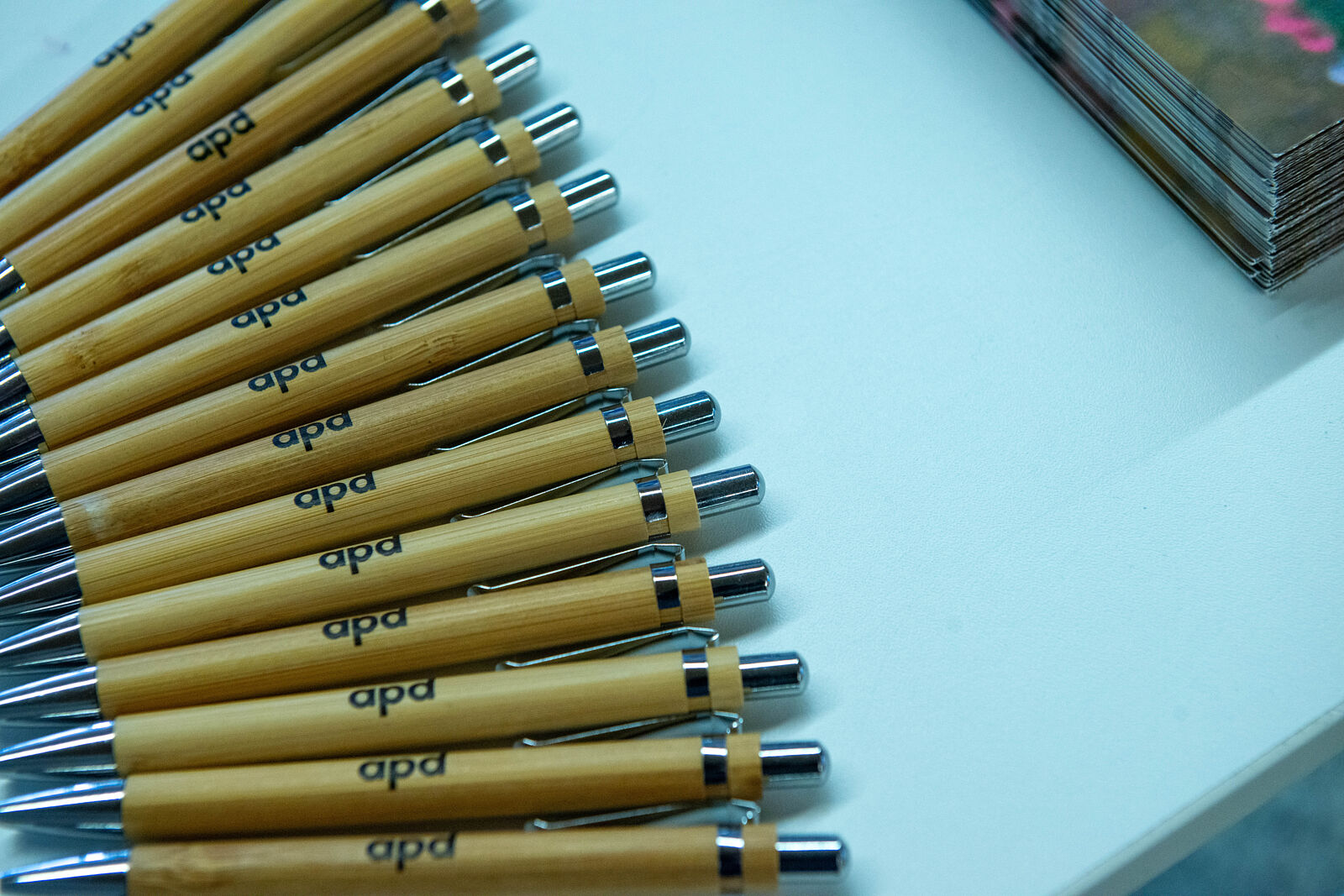 Foto Annai - talento-diverso-3-ts20260311121522787419.jpg