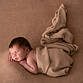 Newborn (10)