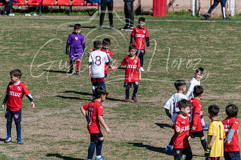 Independiente Vs Lanus 10-8-25