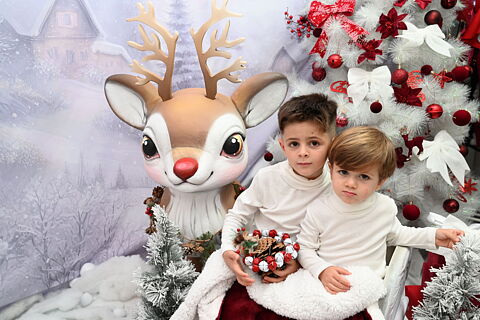 Galería Navidad Ian & Ander 2025