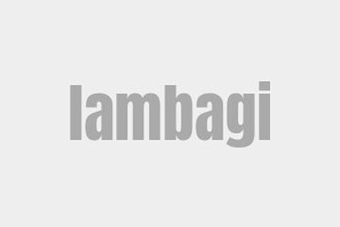 lambagi