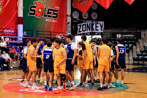 Dorados&Halcones