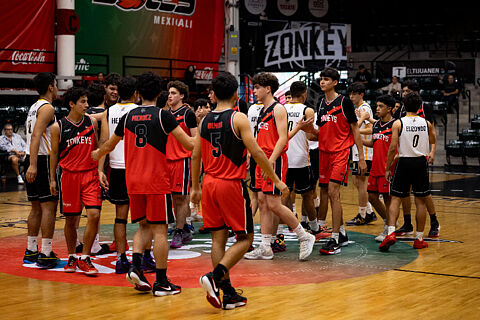 Zonkeys&Rayos