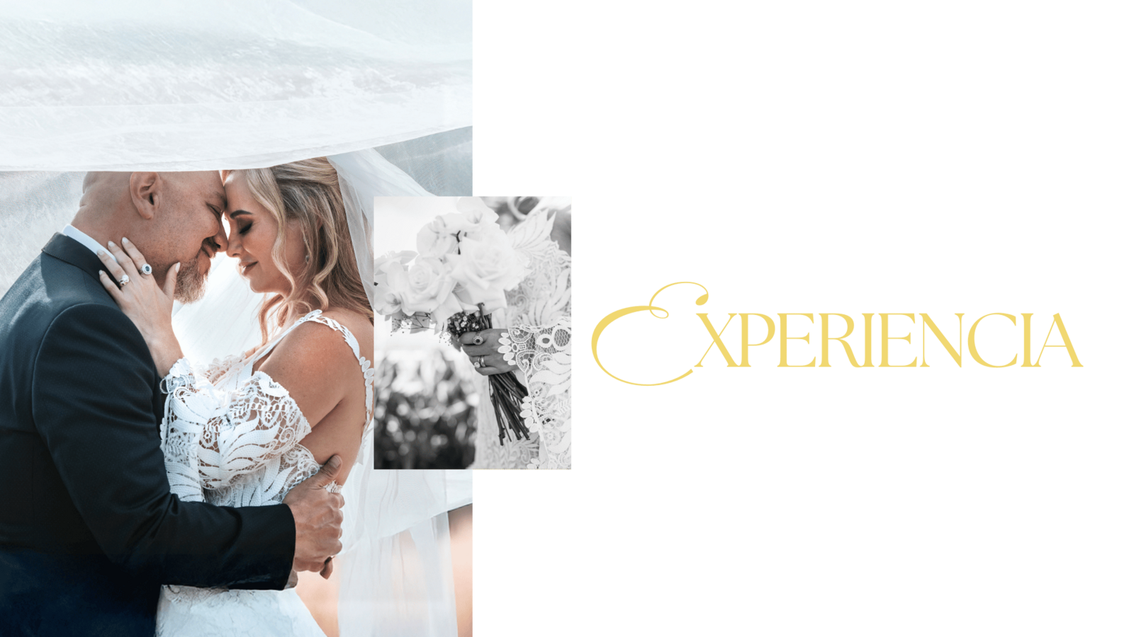 Jose Alarcon Fotografo de Bodas & Cinematic Weddings - elegant-wedding-experiencia-ts20260302204405925942.png