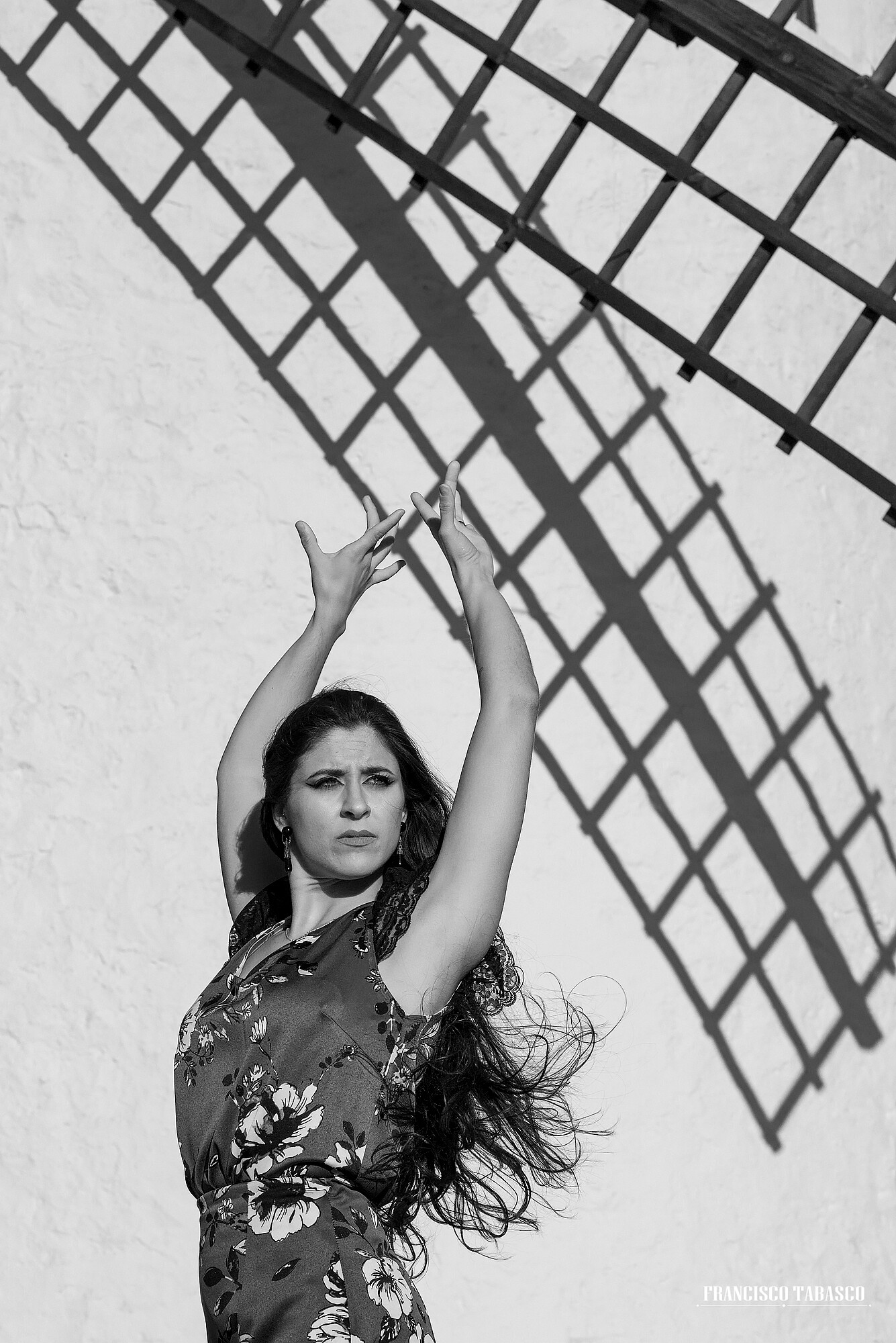 Molinos_de _viento_campo_de Criptana_10