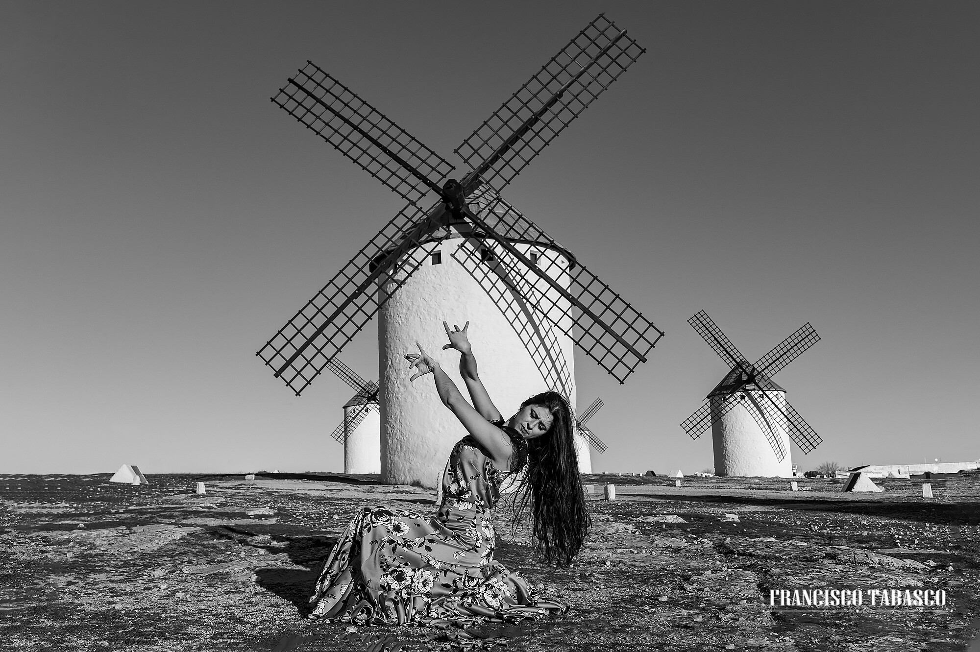 Molinos_de _viento_campo_de Criptana_11