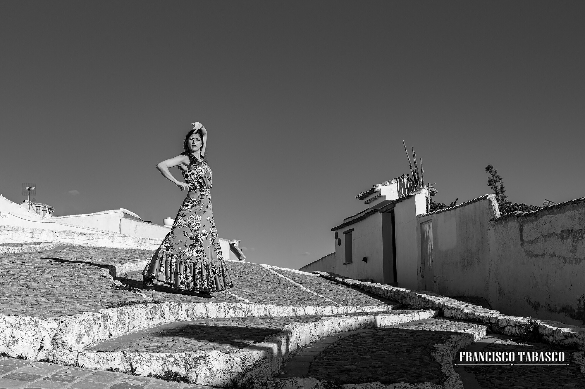Molinos_de _viento_campo_de Criptana_5