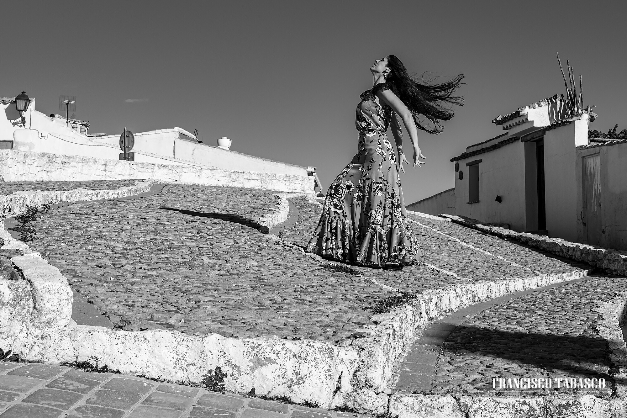Molinos_de _viento_campo_de Criptana_6