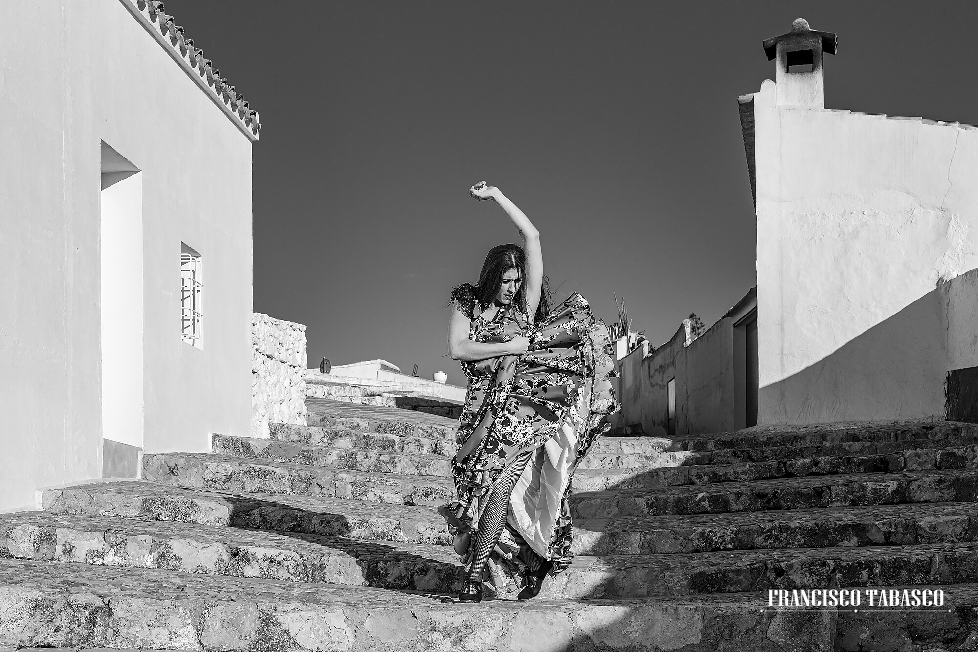 Molinos_de _viento_campo_de Criptana_8