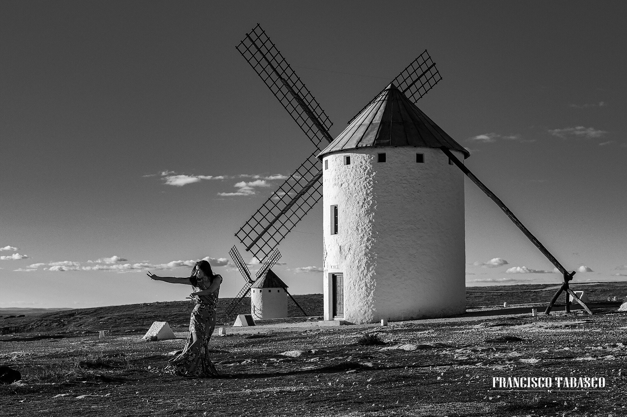 Molinos_de _viento_campo_de Criptana_9