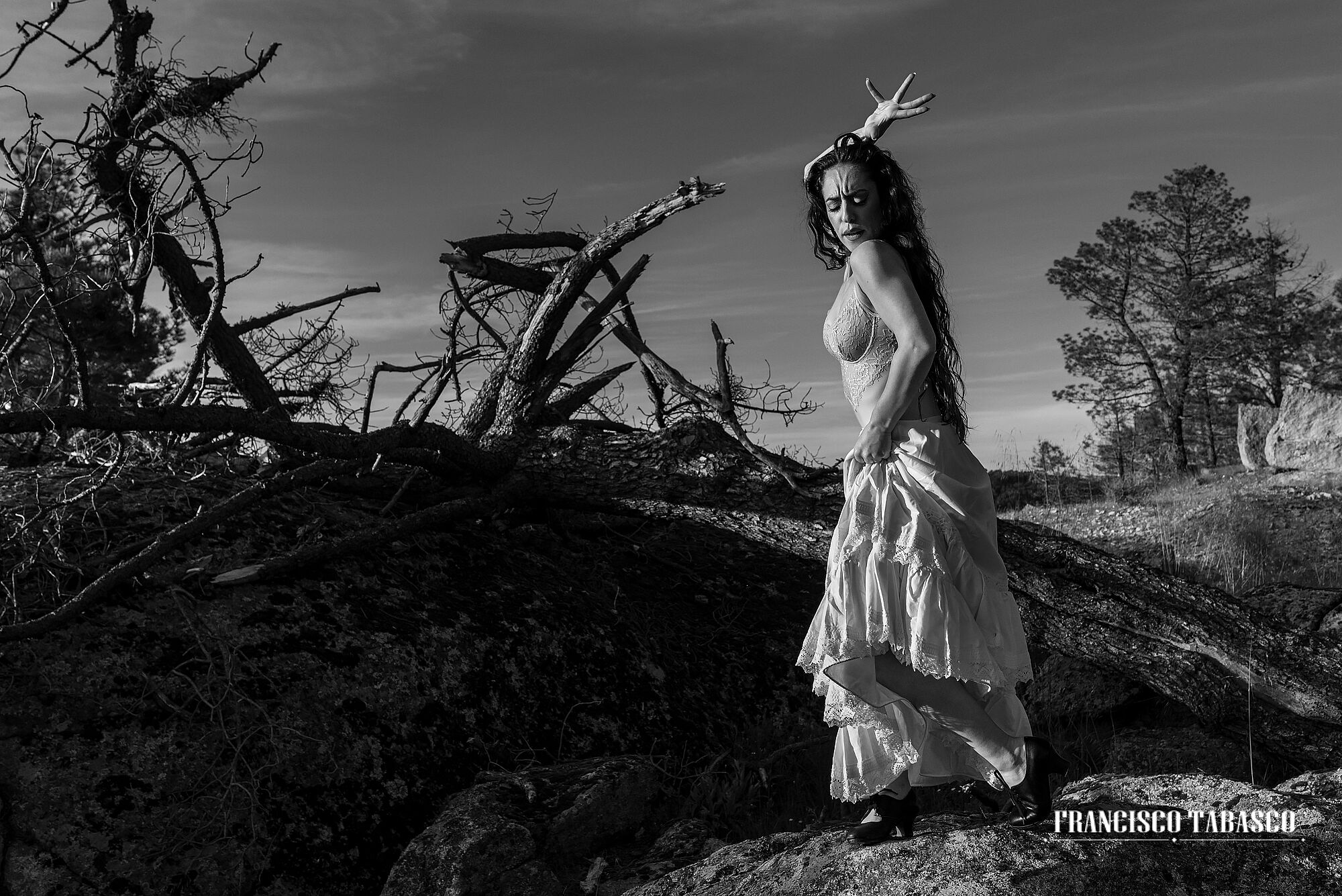 Flamenco_blanco_y_negro_10