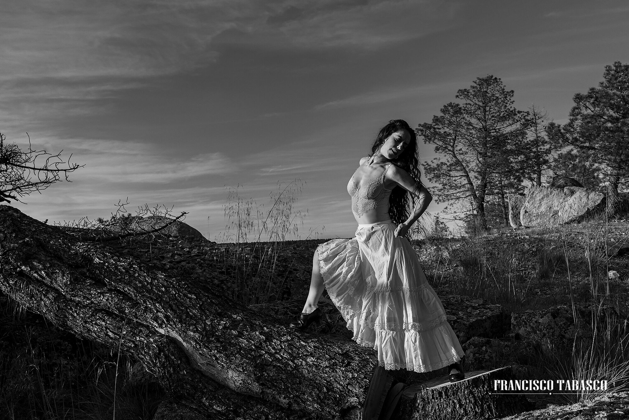 Flamenco_blanco_y_negro_11