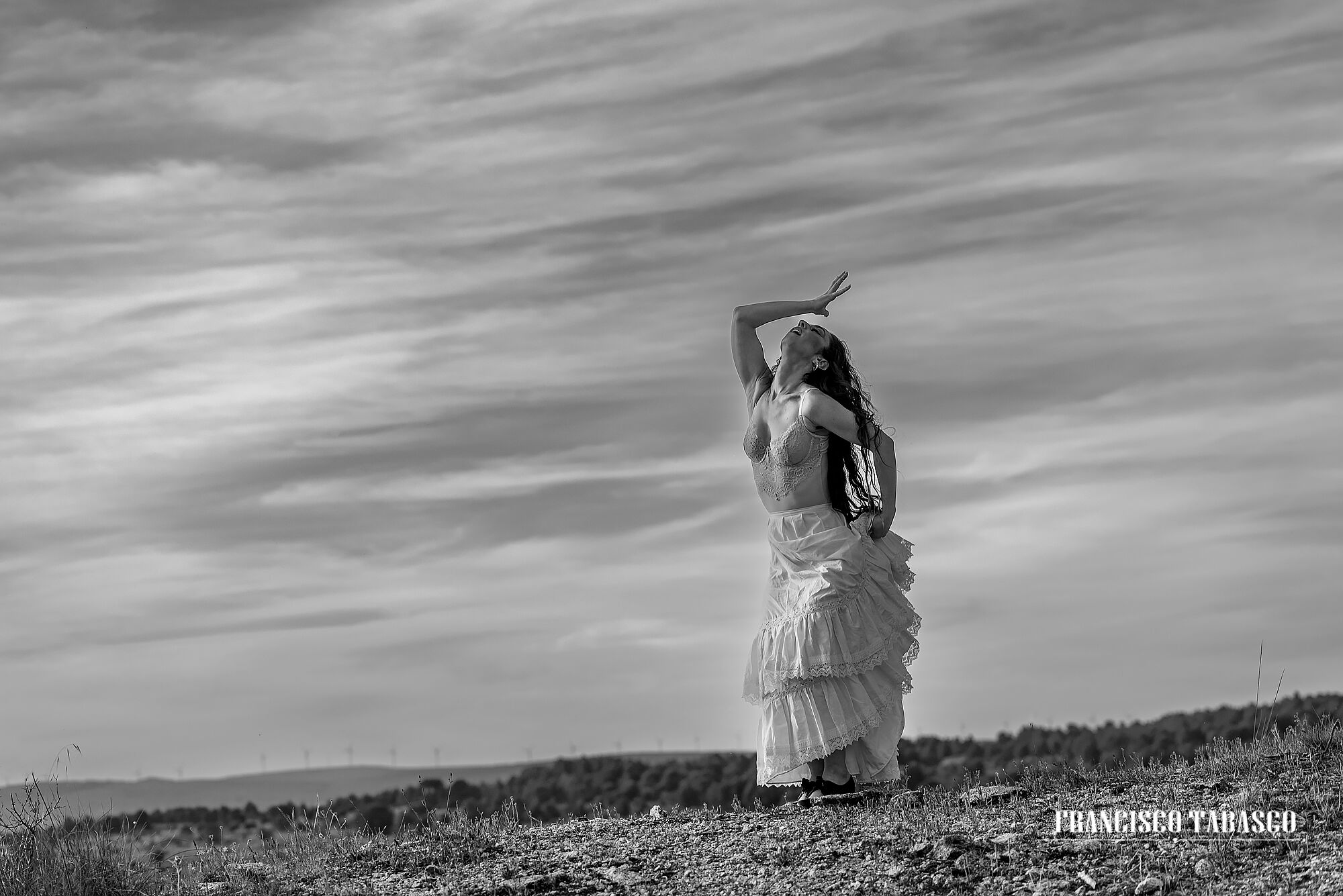 Flamenco_blanco_y_negro_13