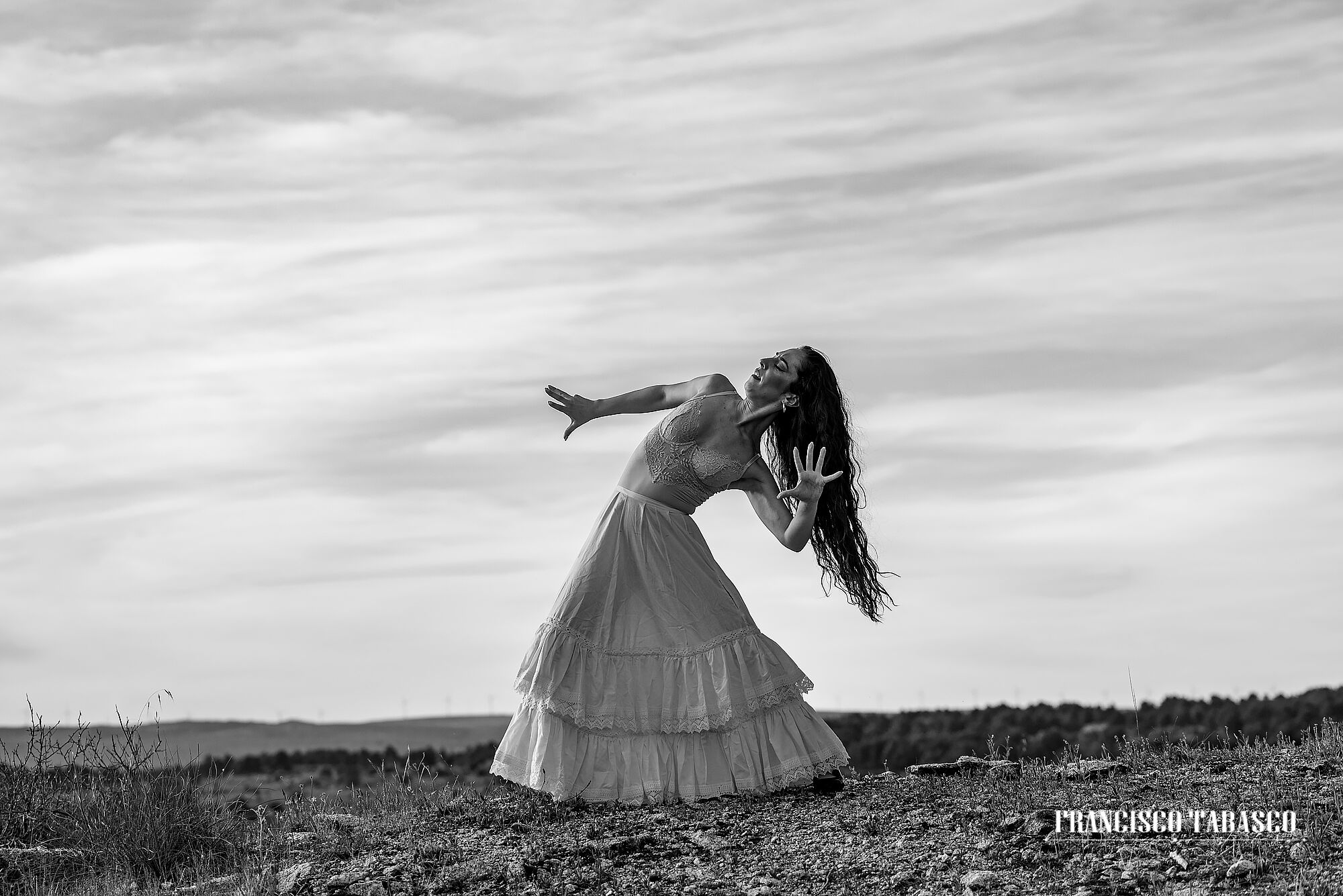 Flamenco_blanco_y_negro_14