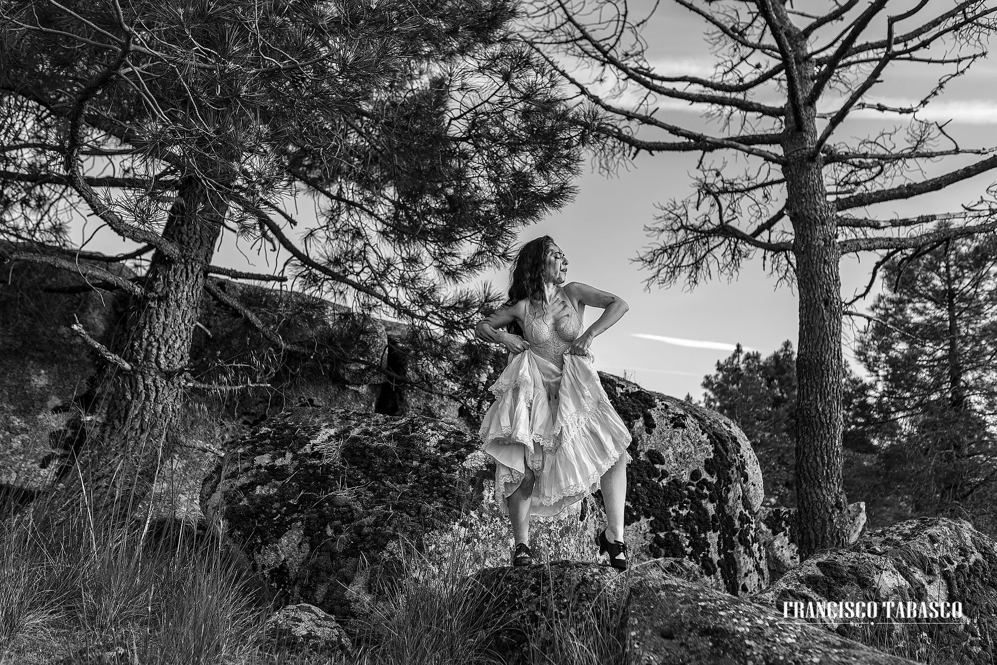 Flamenco_blanco_y_negro_19