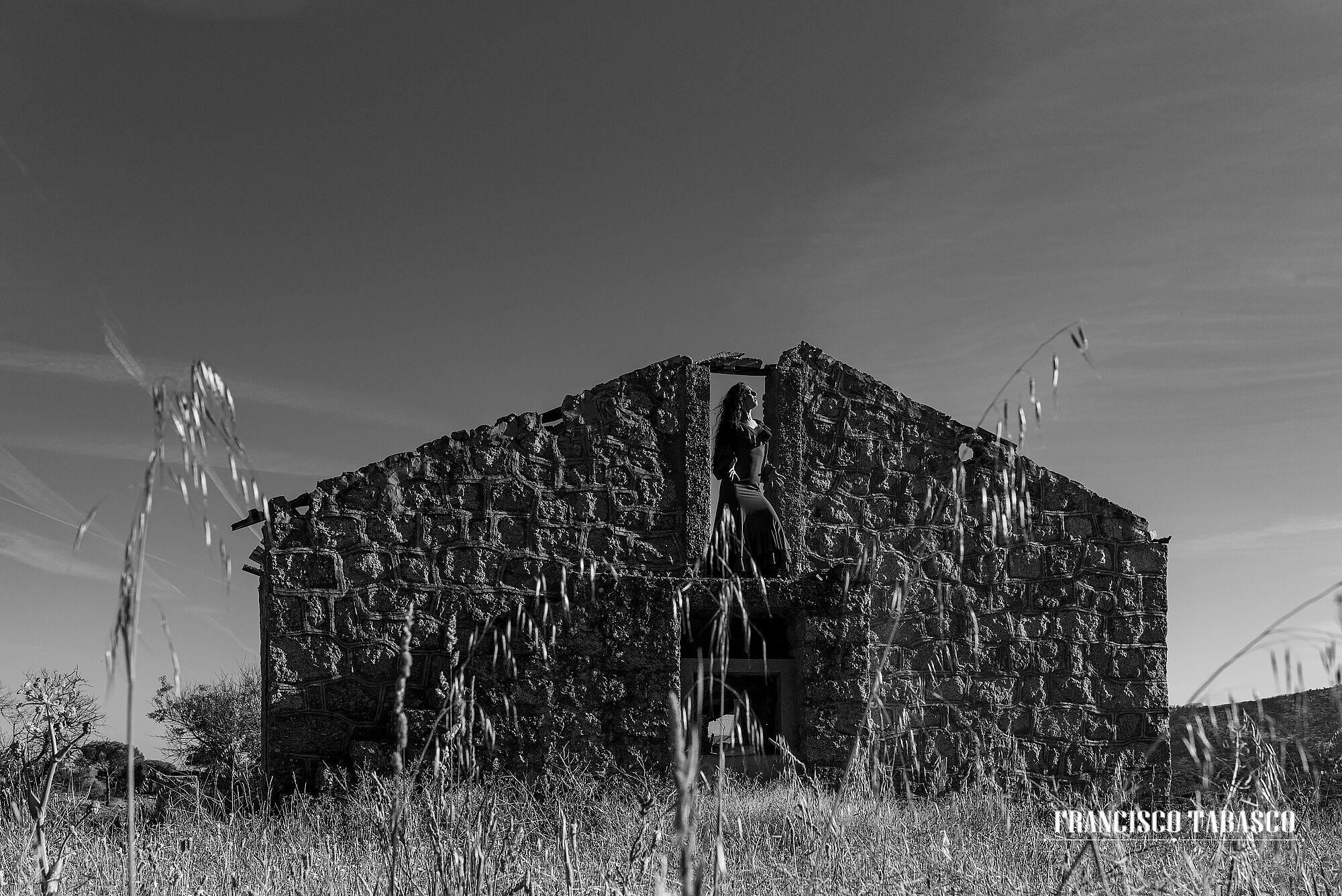 Flamenco_blanco_y_negro_1