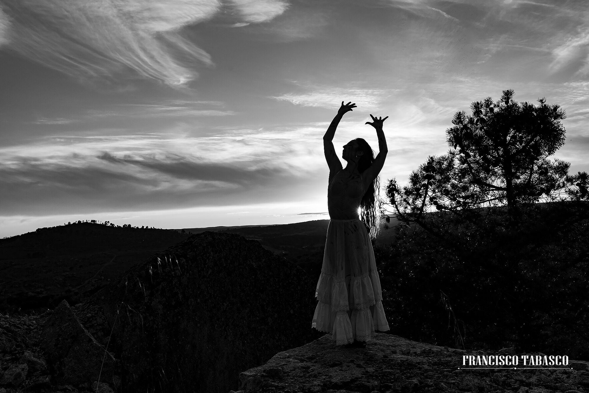 Flamenco_blanco_y_negro_22