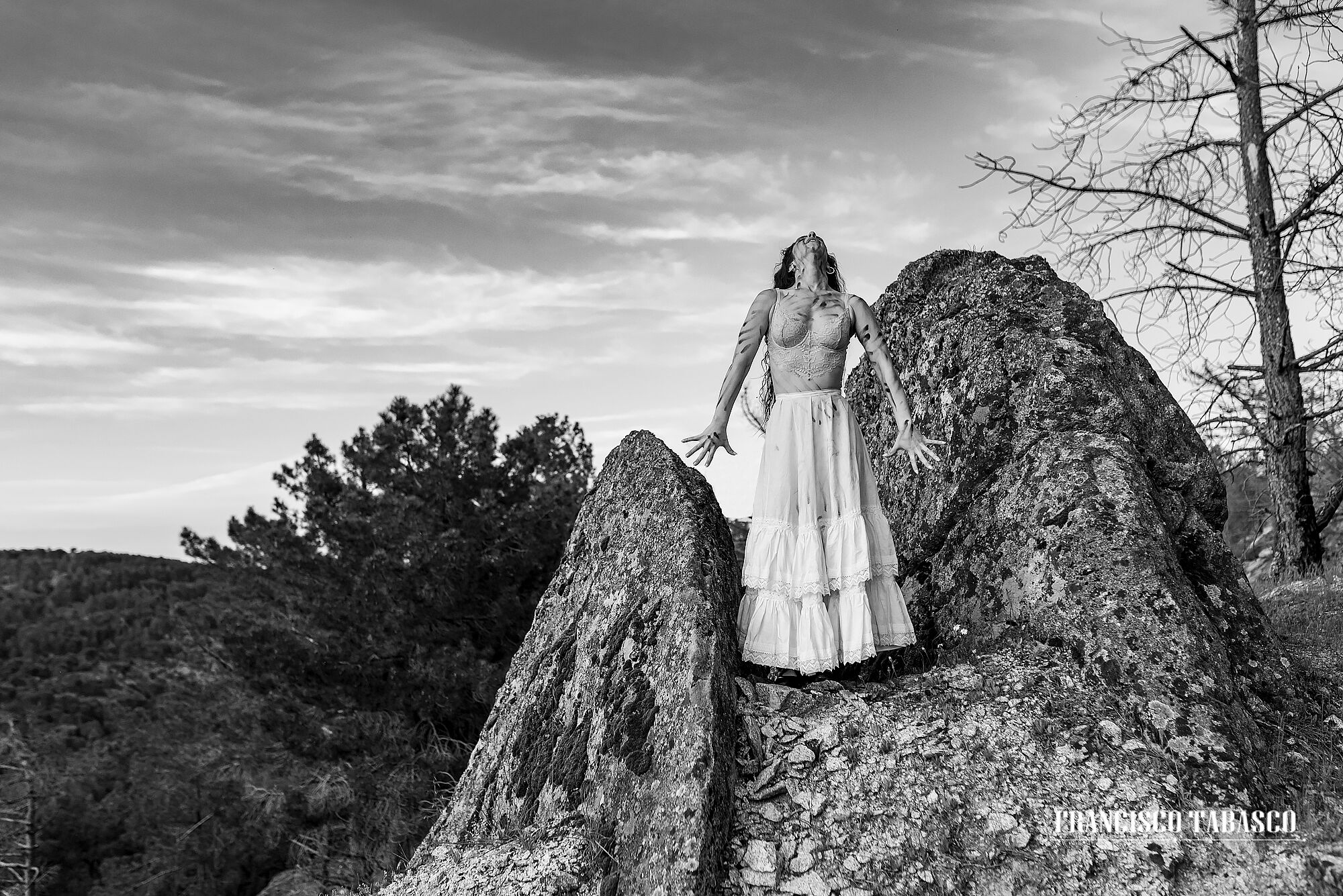 Flamenco_blanco_y_negro_23