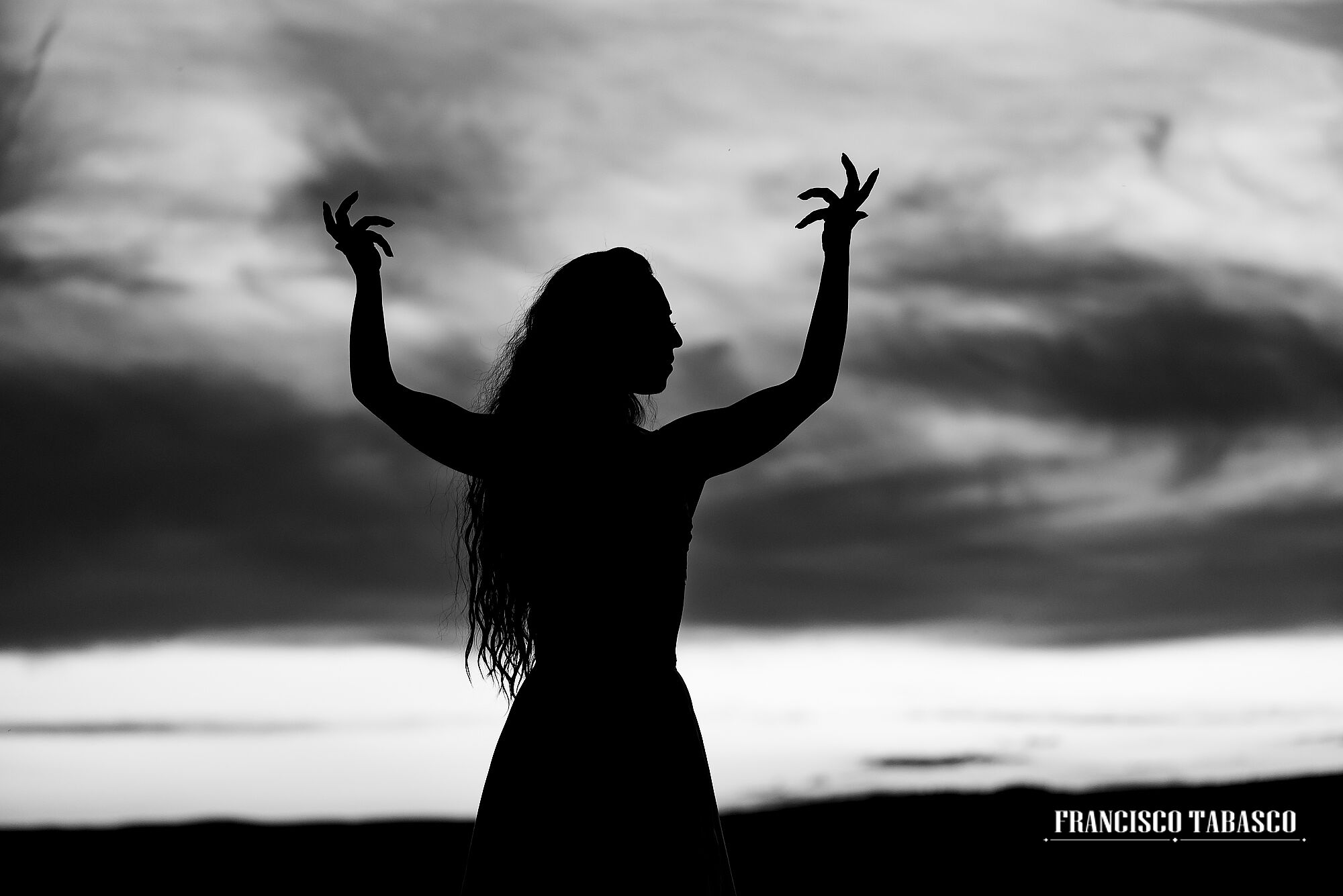 Flamenco_blanco_y_negro_27