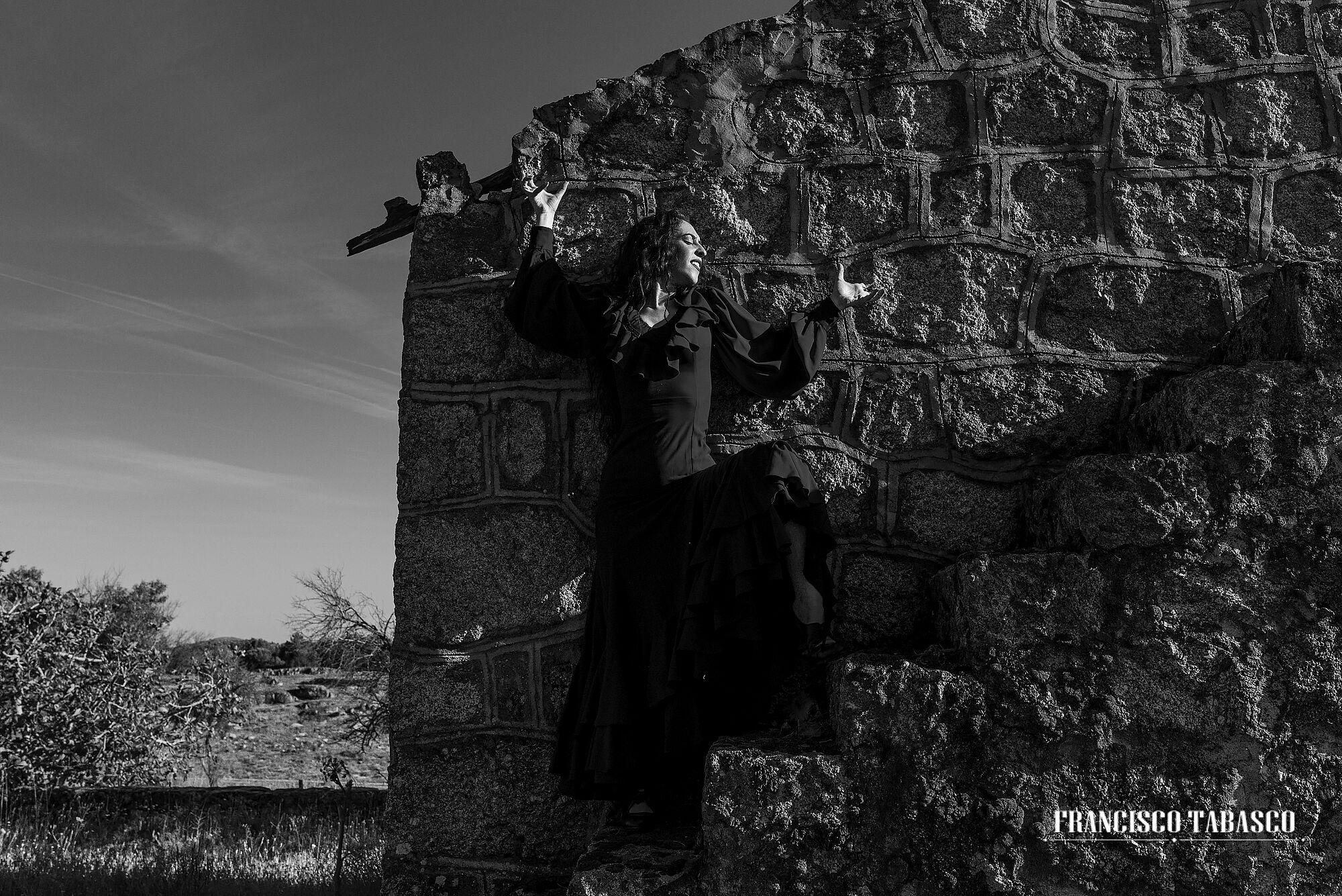 Flamenco_blanco_y_negro_2