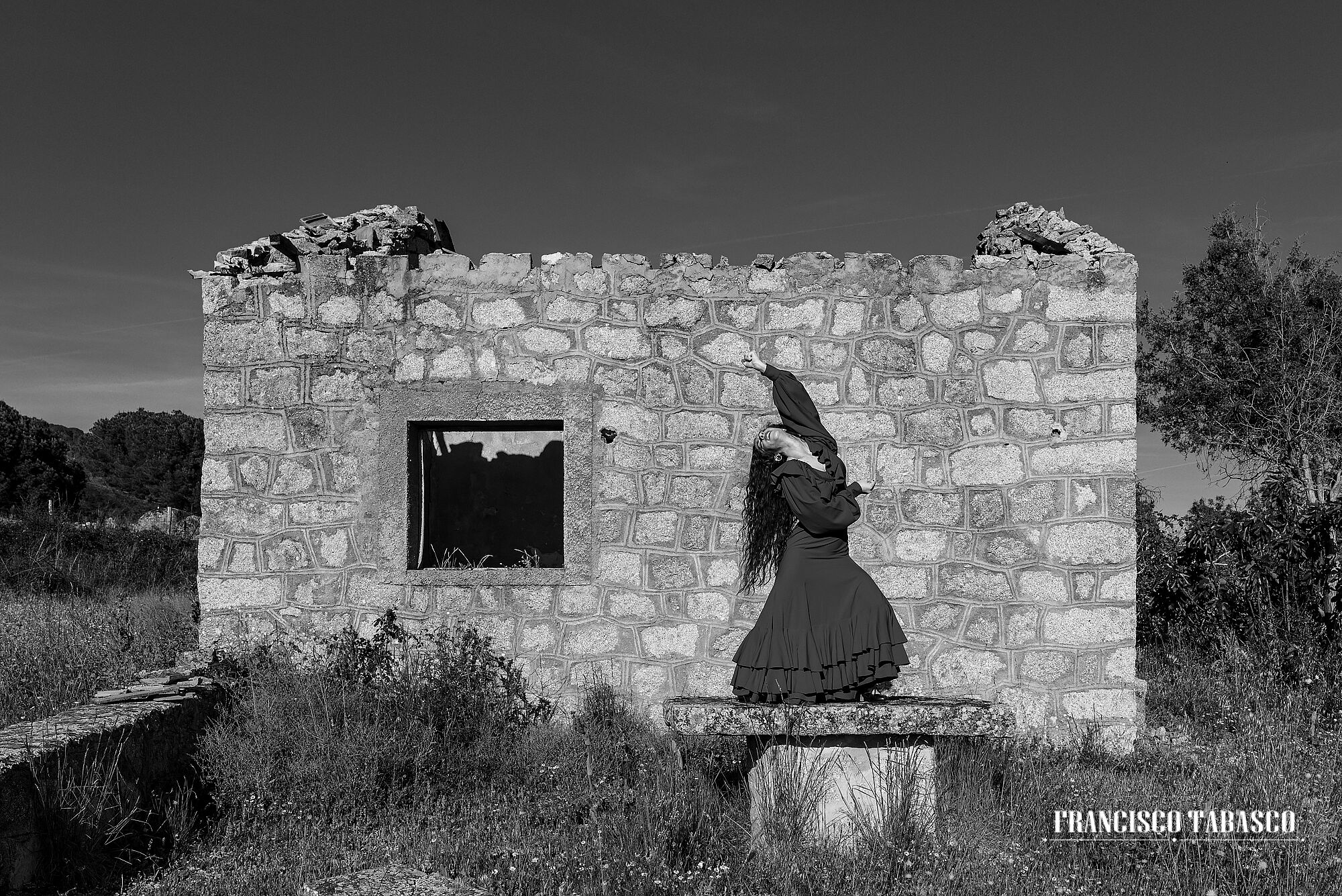 Flamenco_blanco_y_negro_3