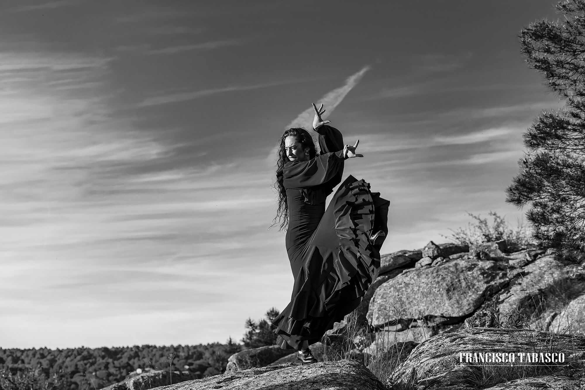 Flamenco_blanco_y_negro_5