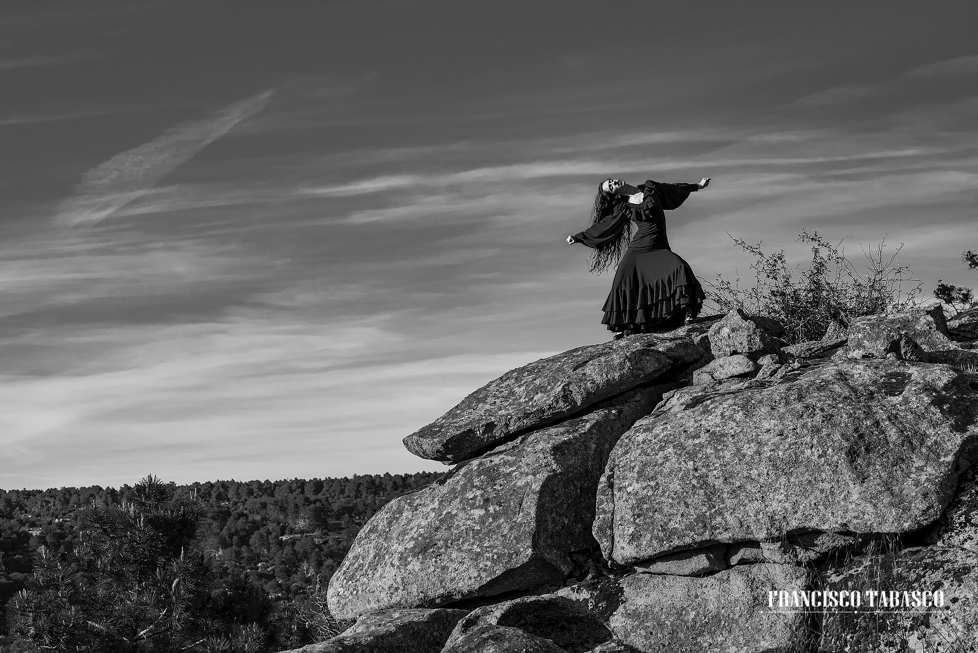 Flamenco_blanco_y_negro_6