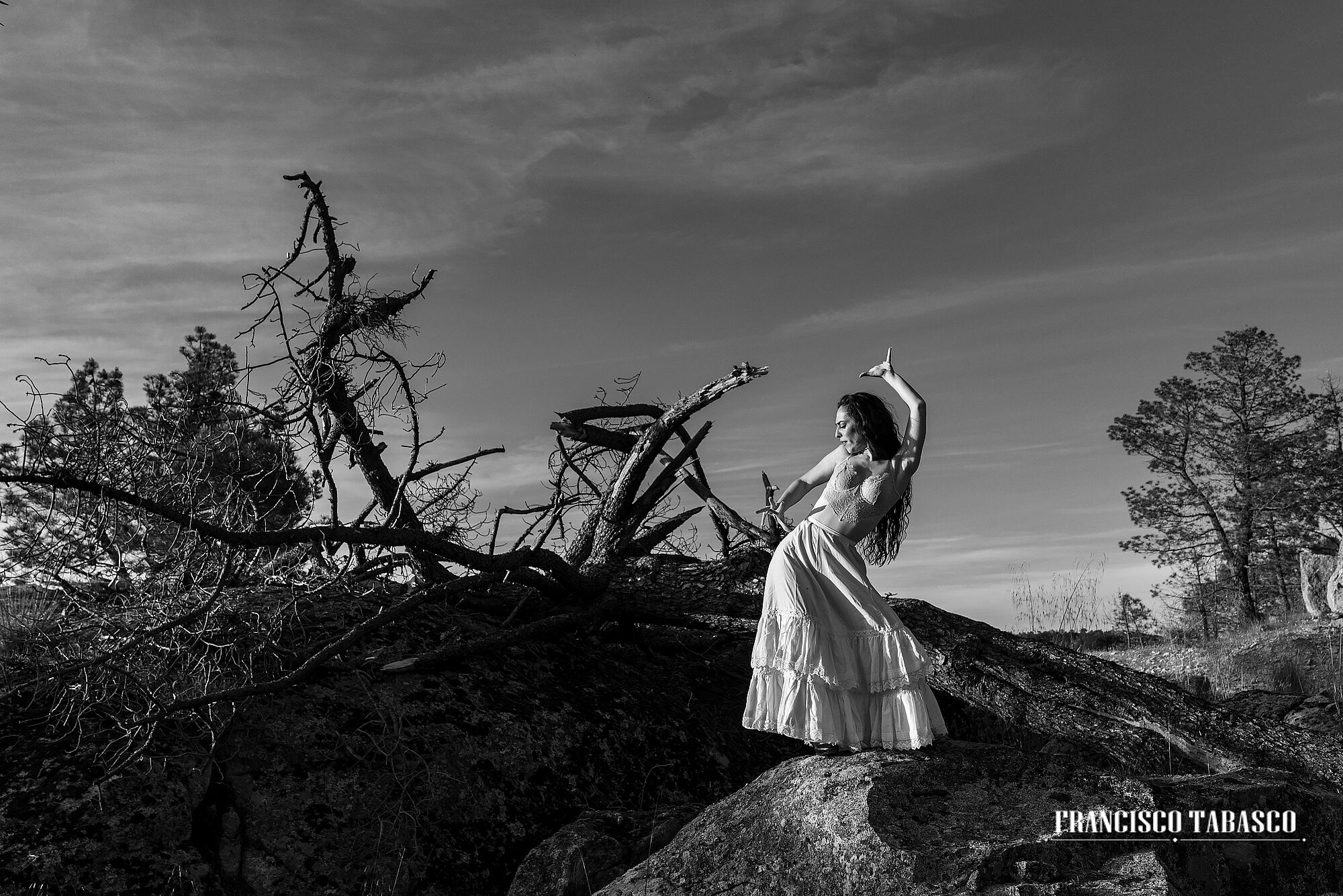 Flamenco_blanco_y_negro_9
