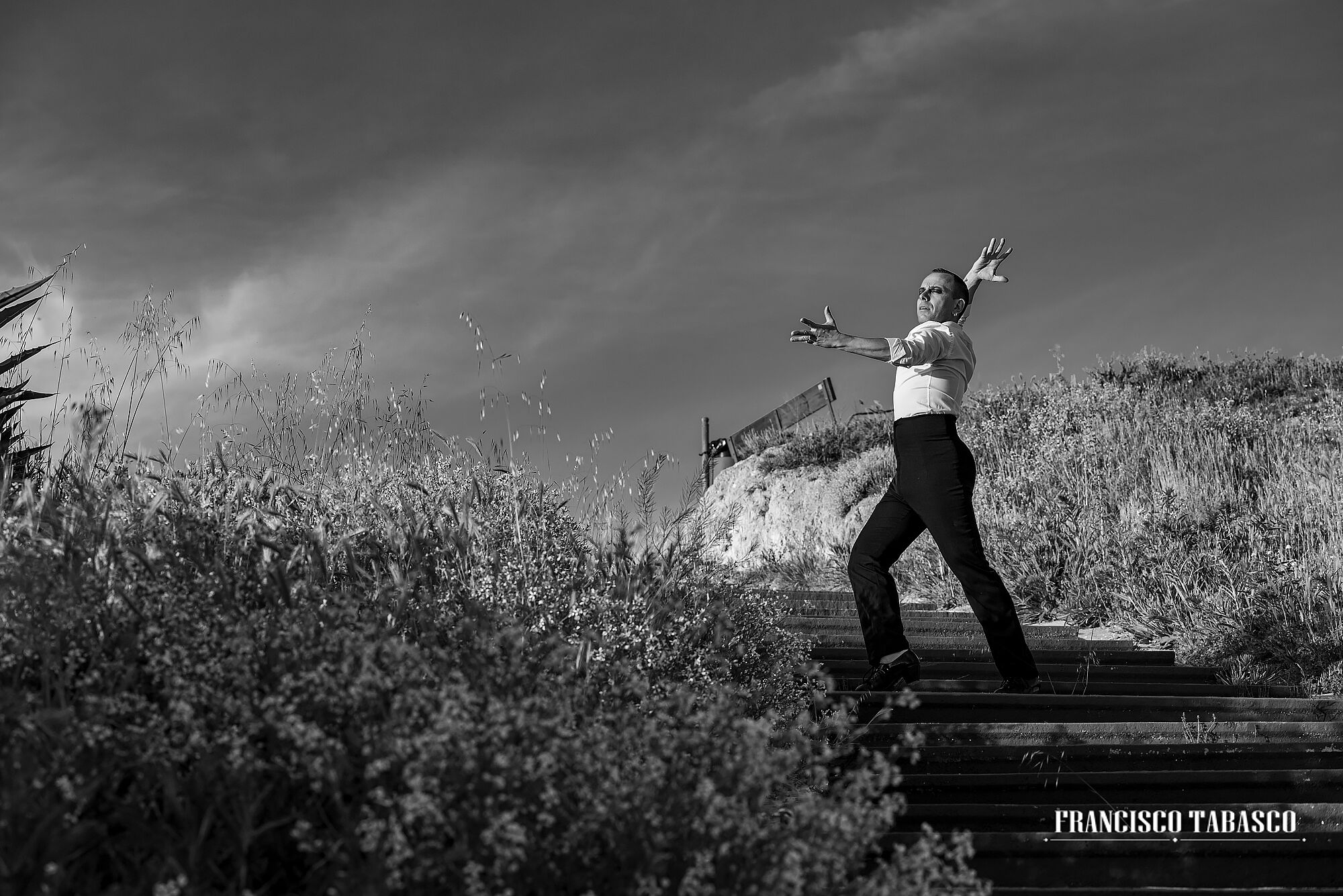 molinos_de_viento_el_romeral_10