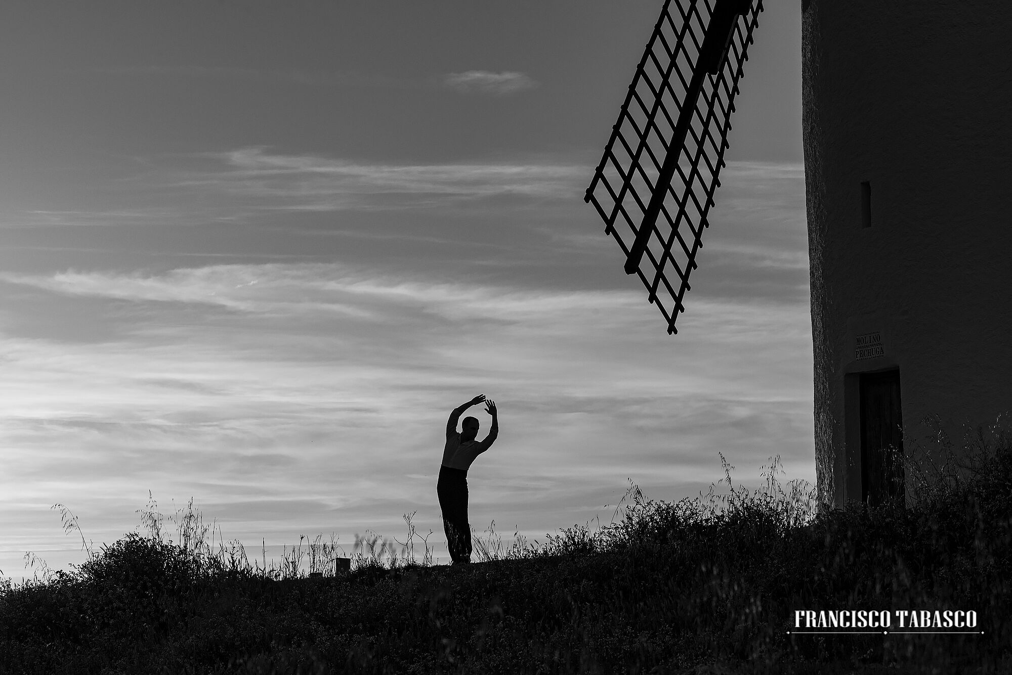 molinos_de_viento_el_romeral_12