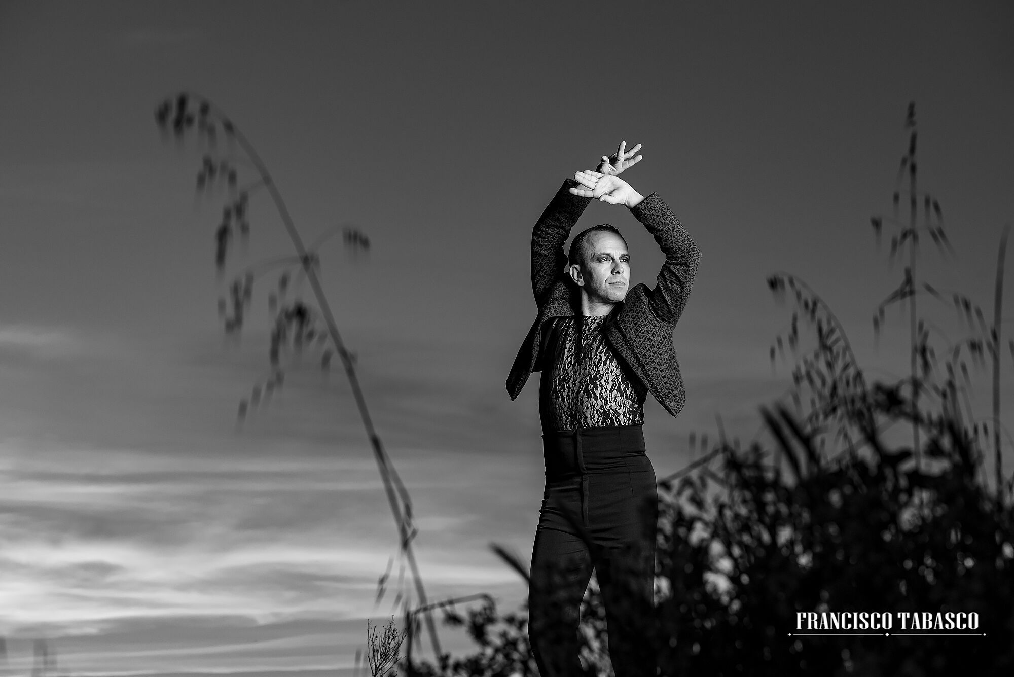 molinos_de_viento_el_romeral_13