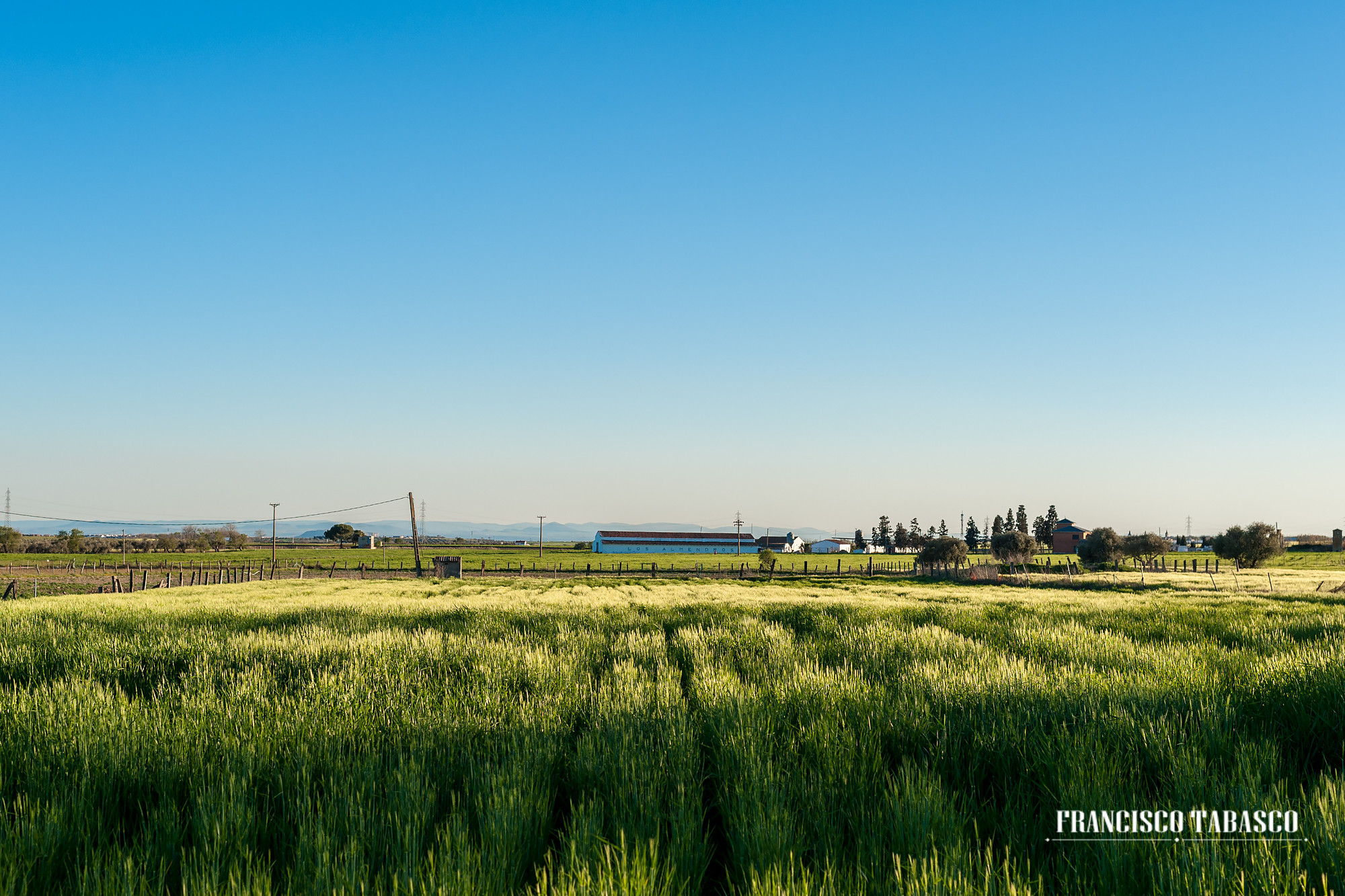 Finca_las_Bocas_Cubas_de_la_Sagra_Madrid_3