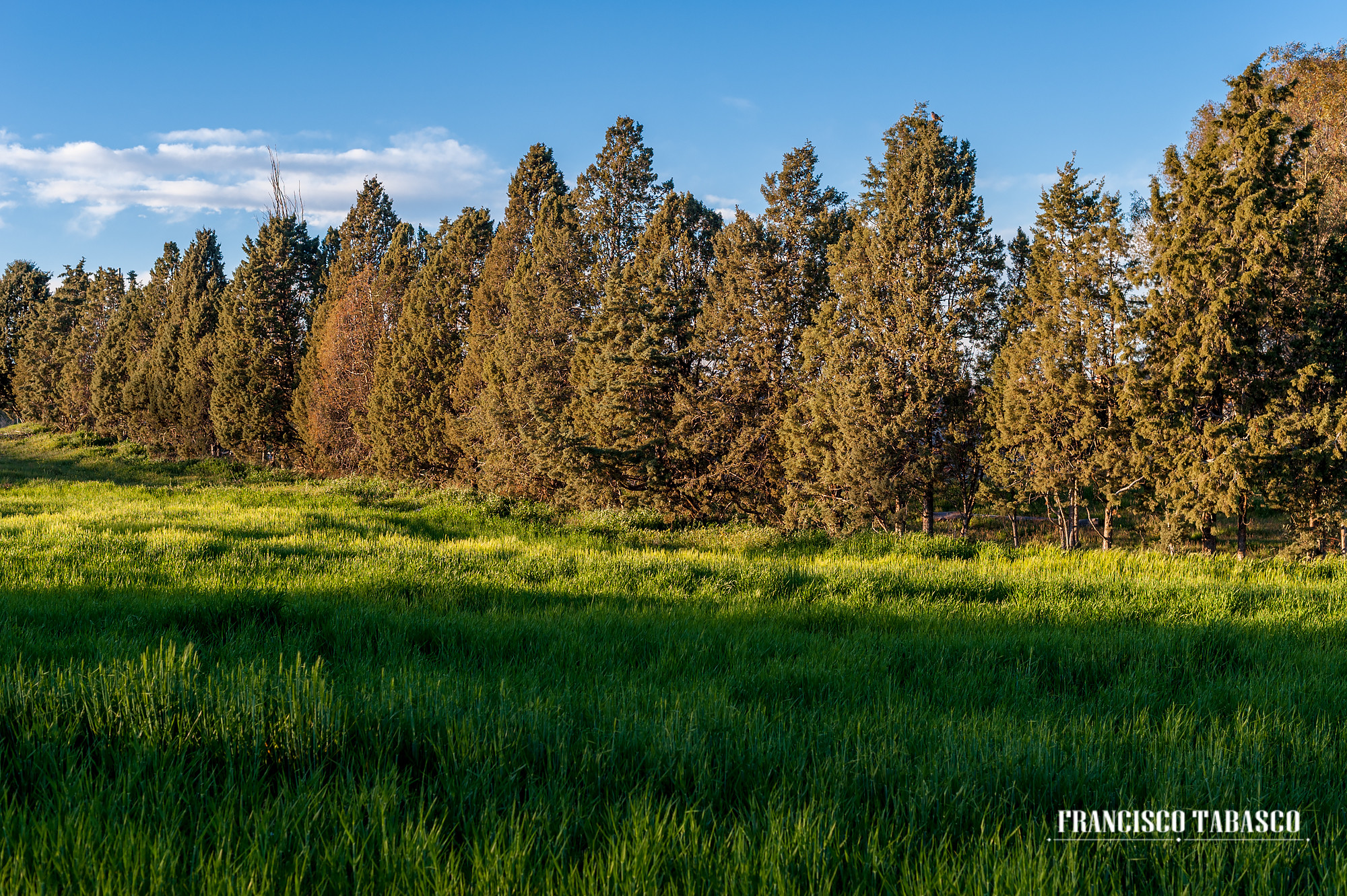 Finca_las_Bocas_Cubas_de_la_Sagra_Madrid_4