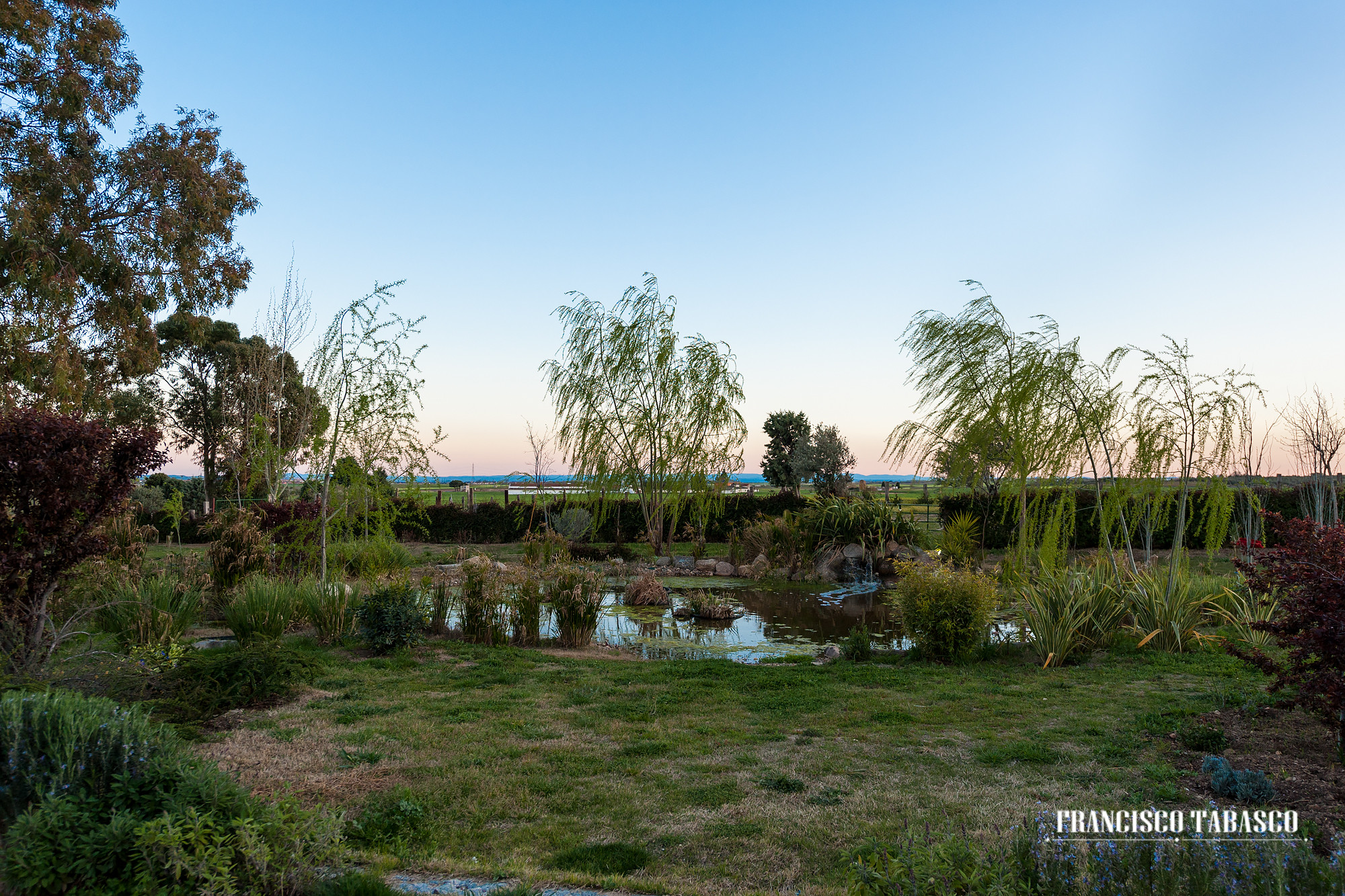 Finca_las_Bocas_Cubas_de_la_Sagra_Madrid_5